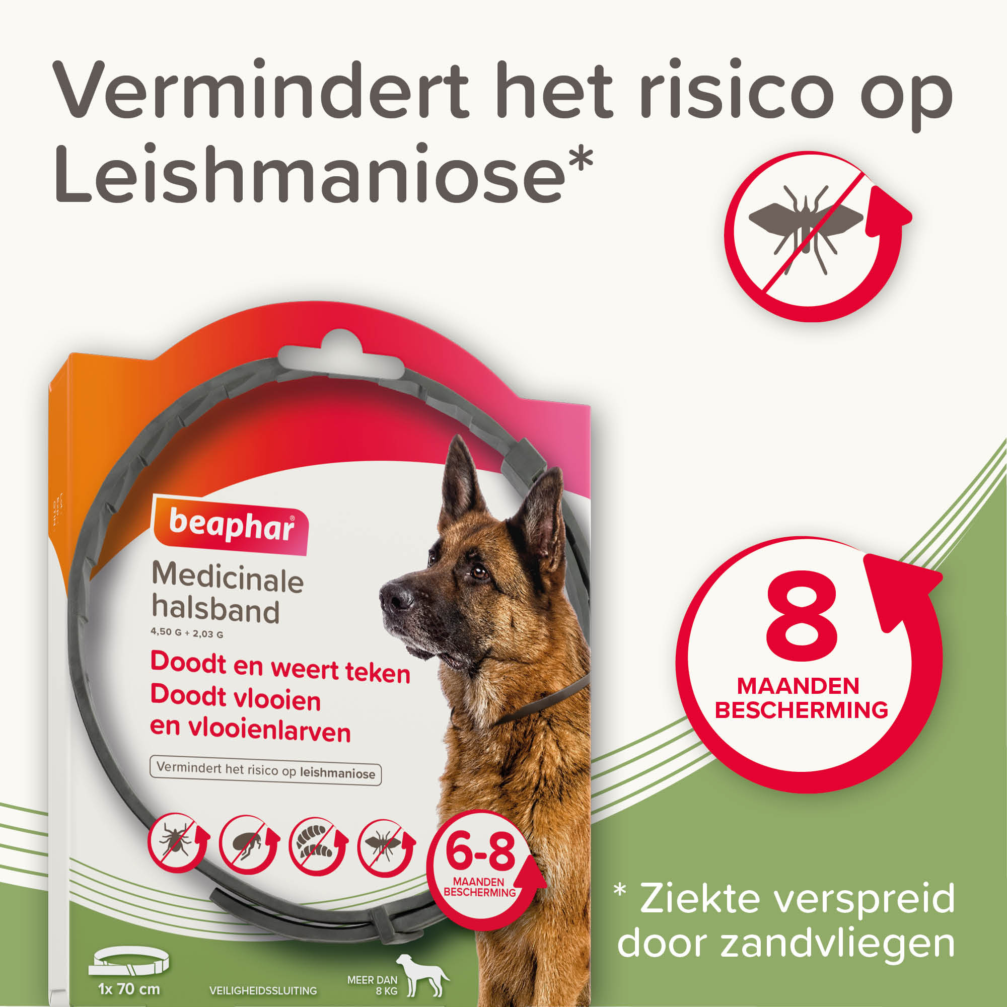 Beaphar Medicinale halsband hond vanaf 8kg 1st