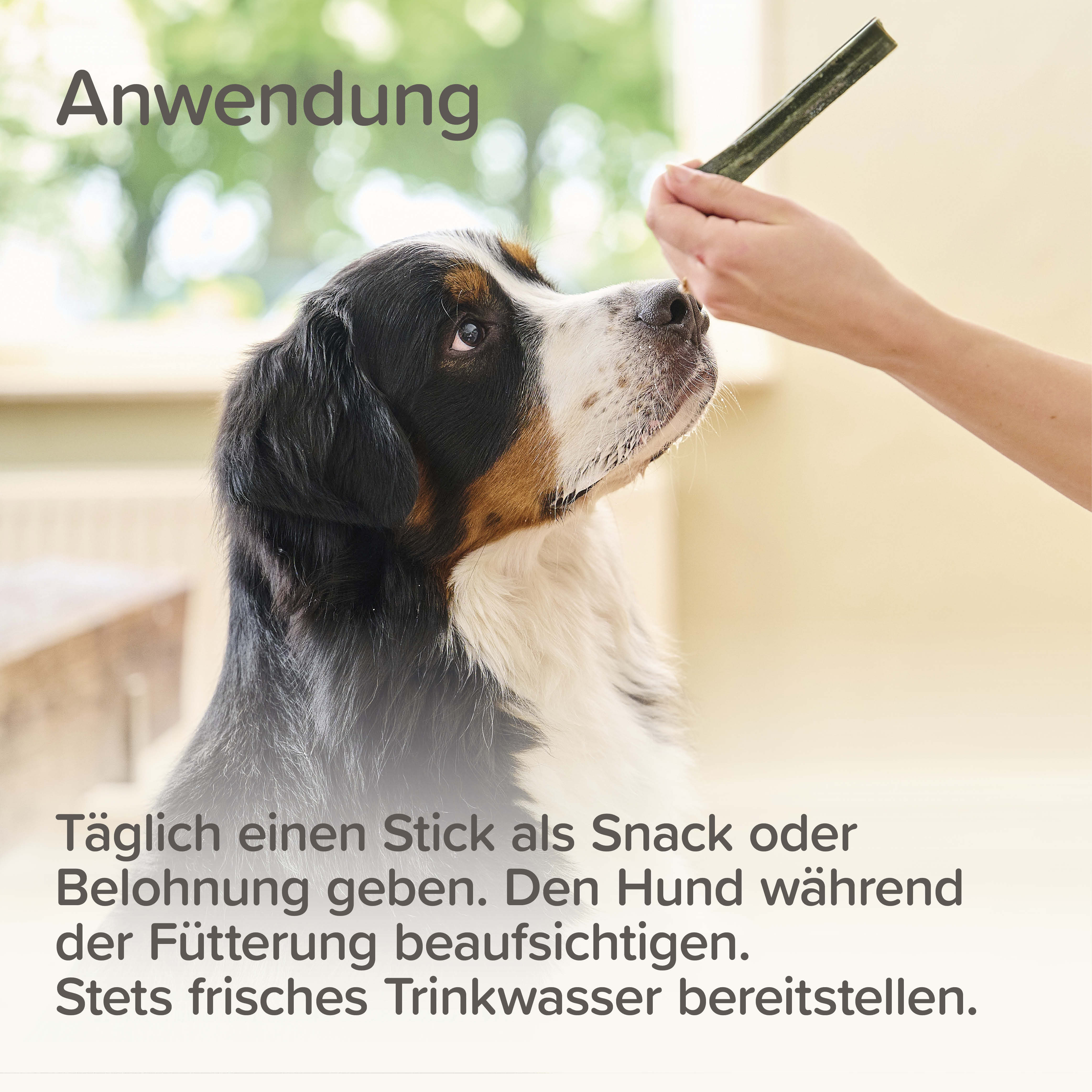 Zahnpflege Sticks, 7 St. / 112g