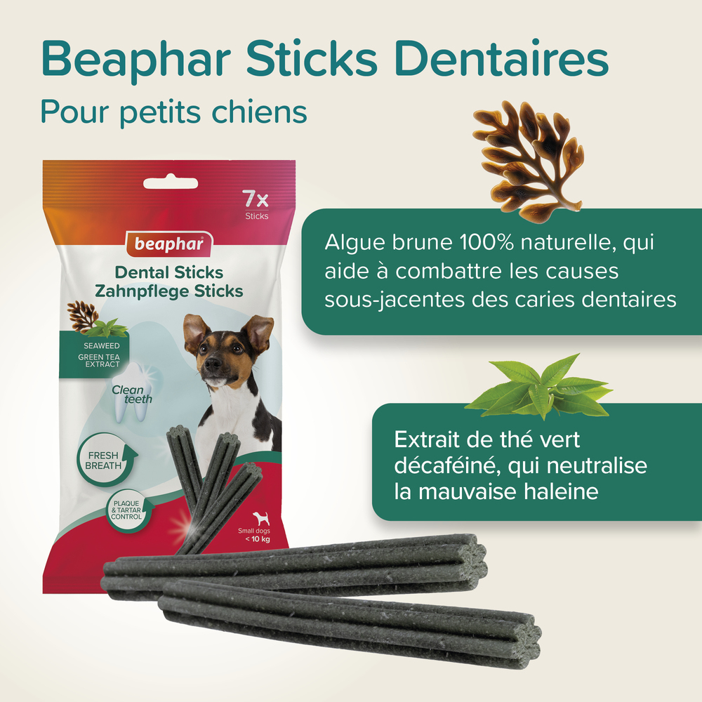 Bâtonnets dentaires pour petits chiens (