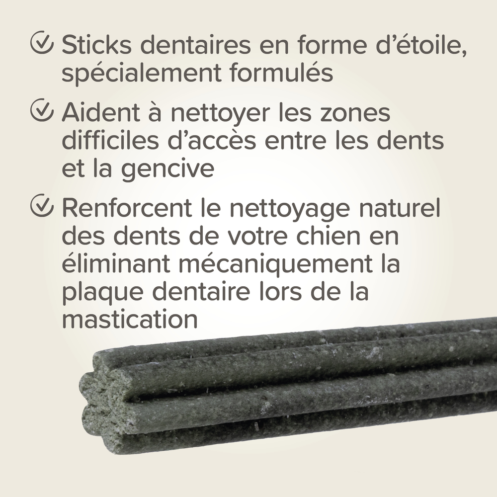 Bâtonnets dentaires pour petits chiens (