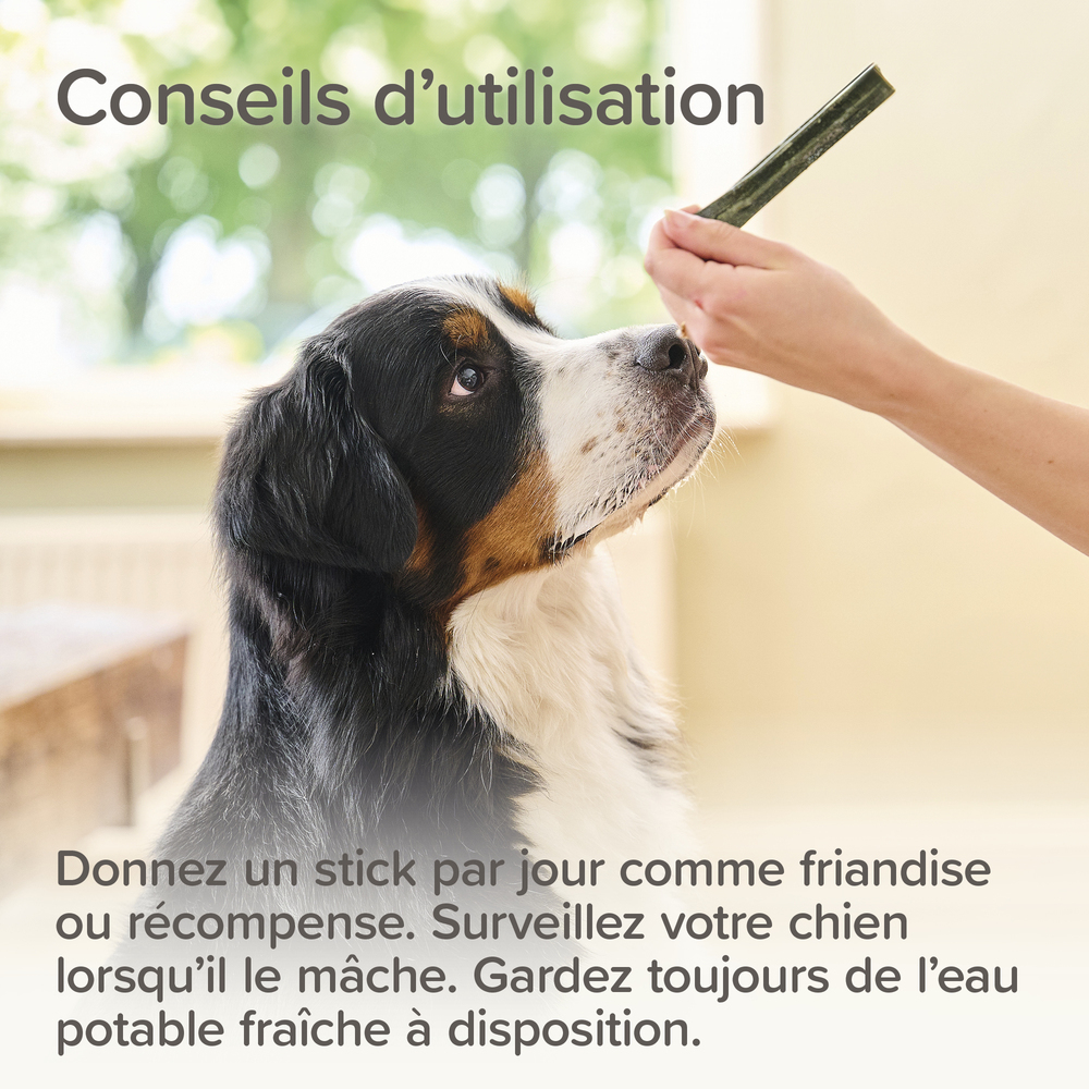Bâtonnets dentaires pour petits chiens (