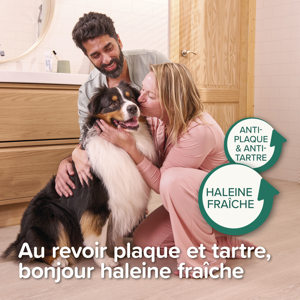 Bâtonnets dentaires pour petits chiens (