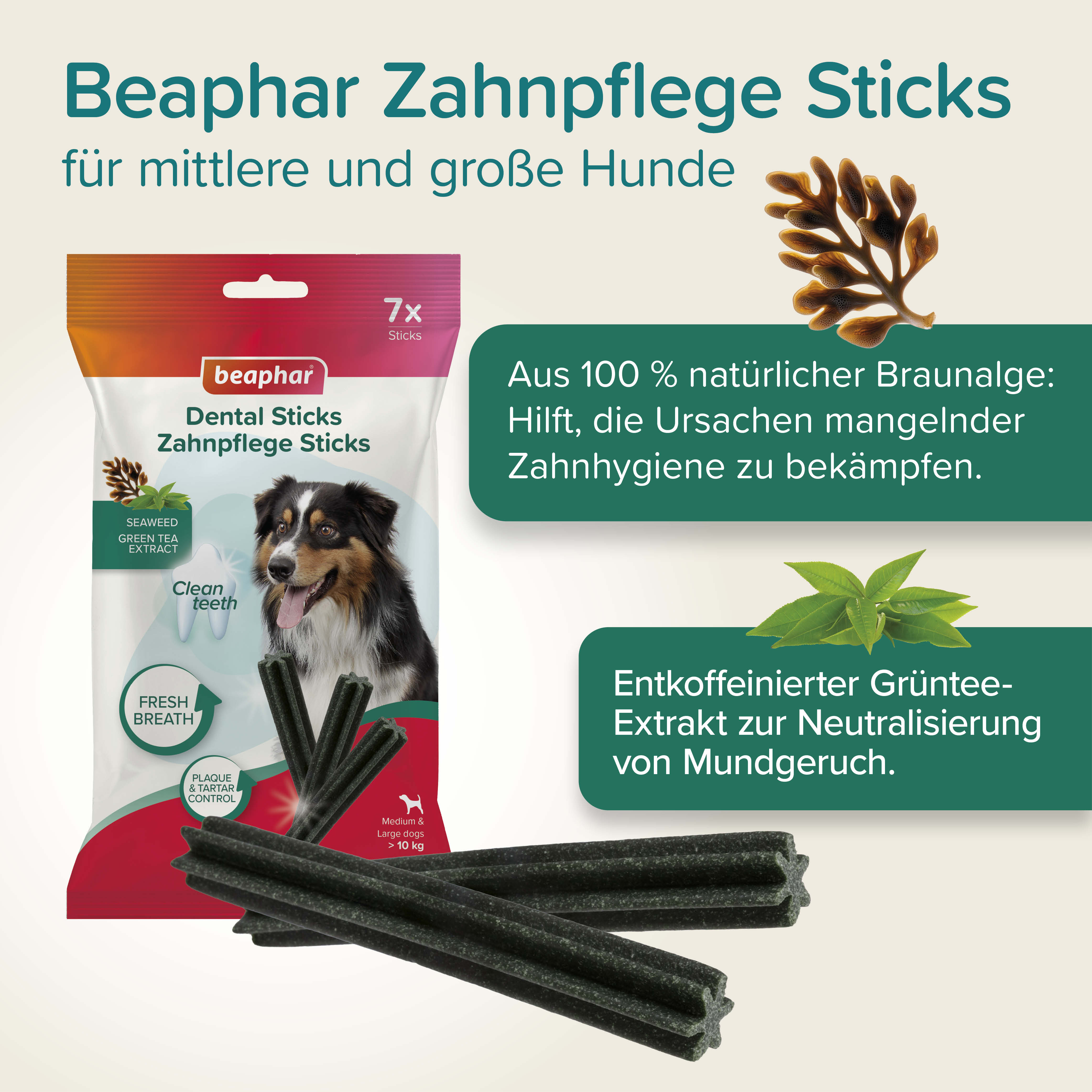 Beaphar Zahnpflege Sticks, 7 St. / 182g