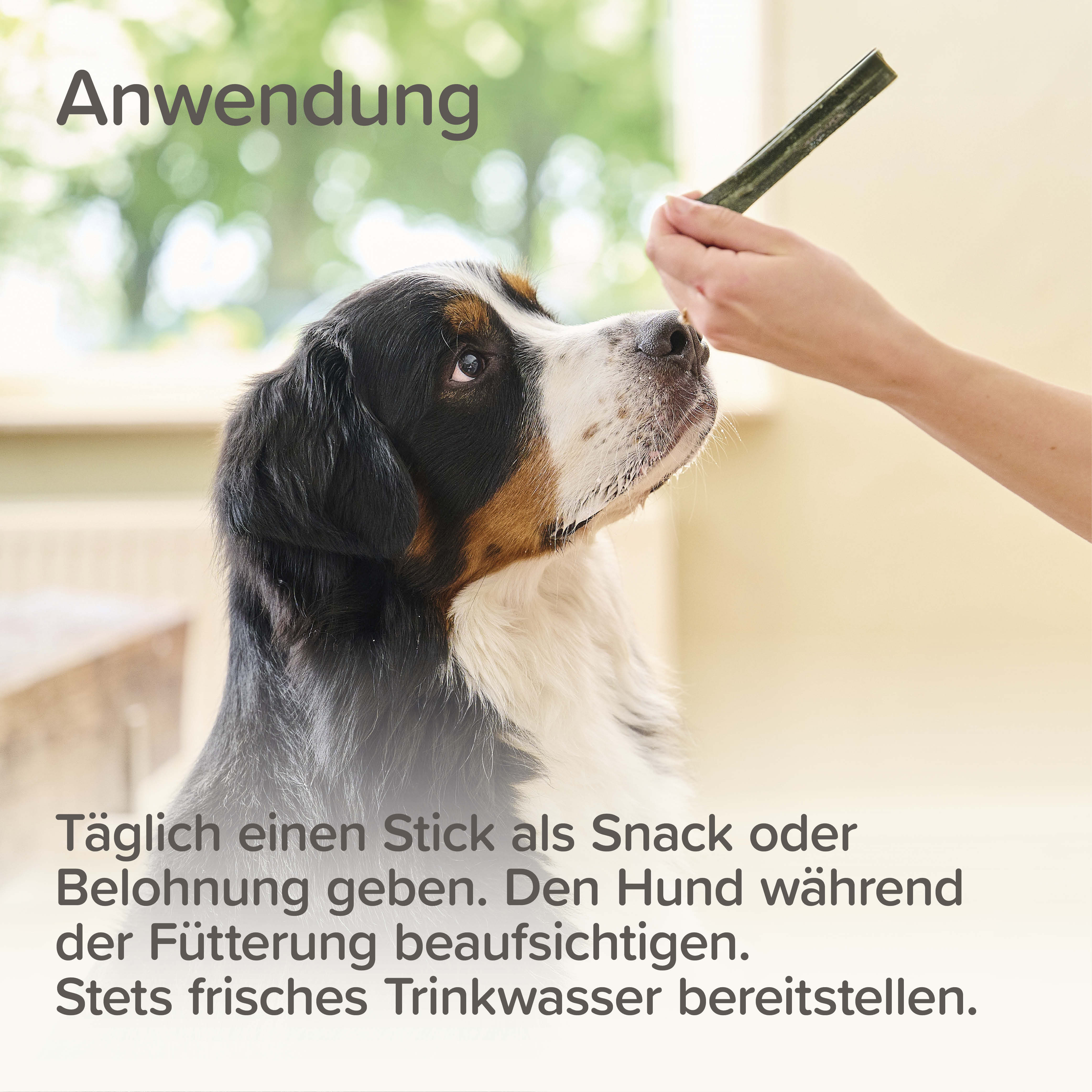 Beaphar Zahnpflege Sticks, 7 St. / 182g