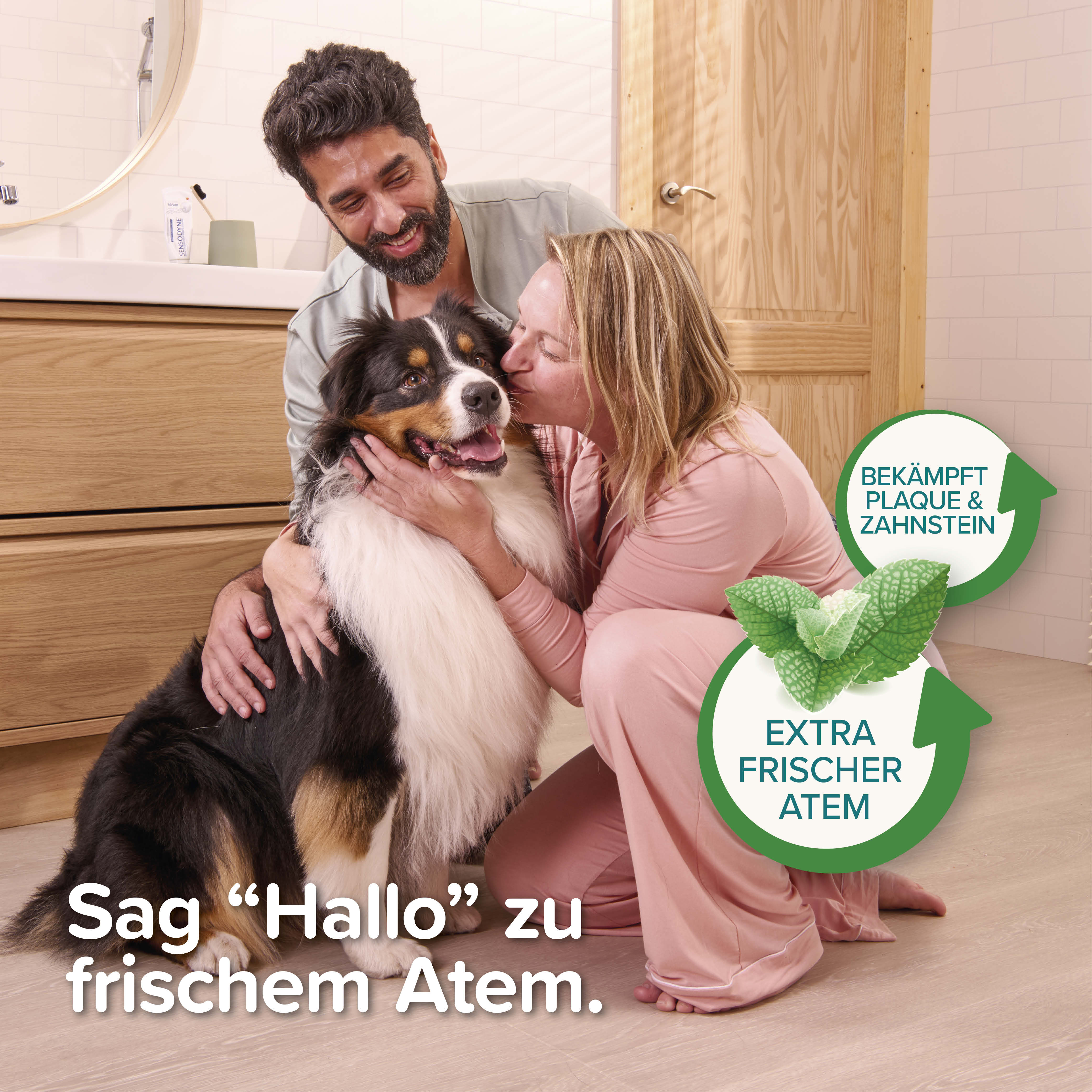 Beaphar Zahnpflege Sticks, 7 St. / 182g