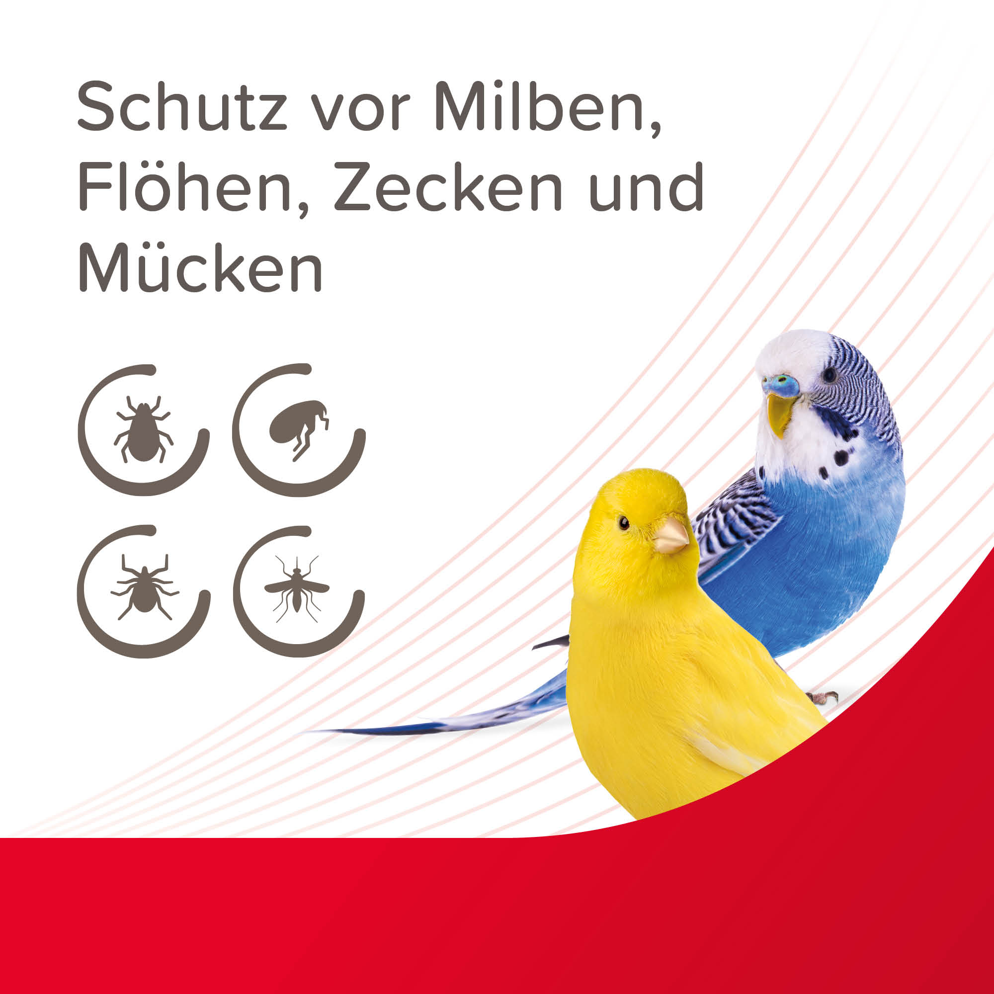 VETOplus Milben-Zerstäuber für Vögel, 100ml