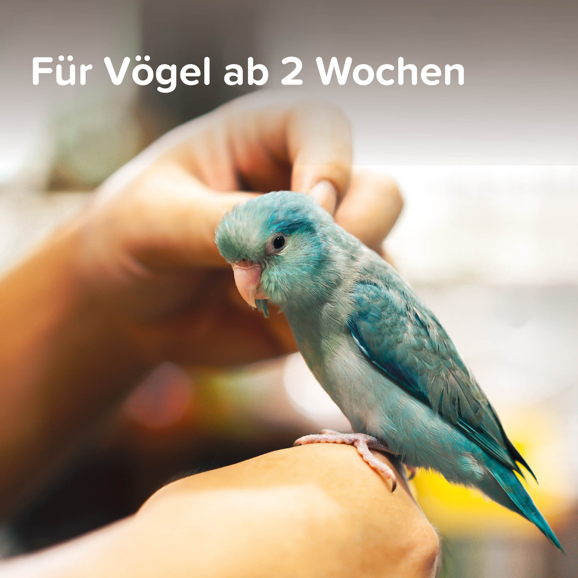 VETOplus Milben-Zerstäuber für Vögel, 100ml