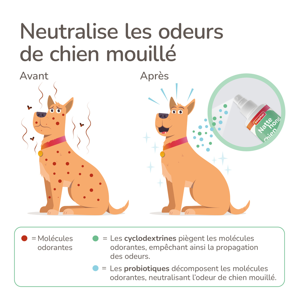 Spray Chien mouillé - 250 ml