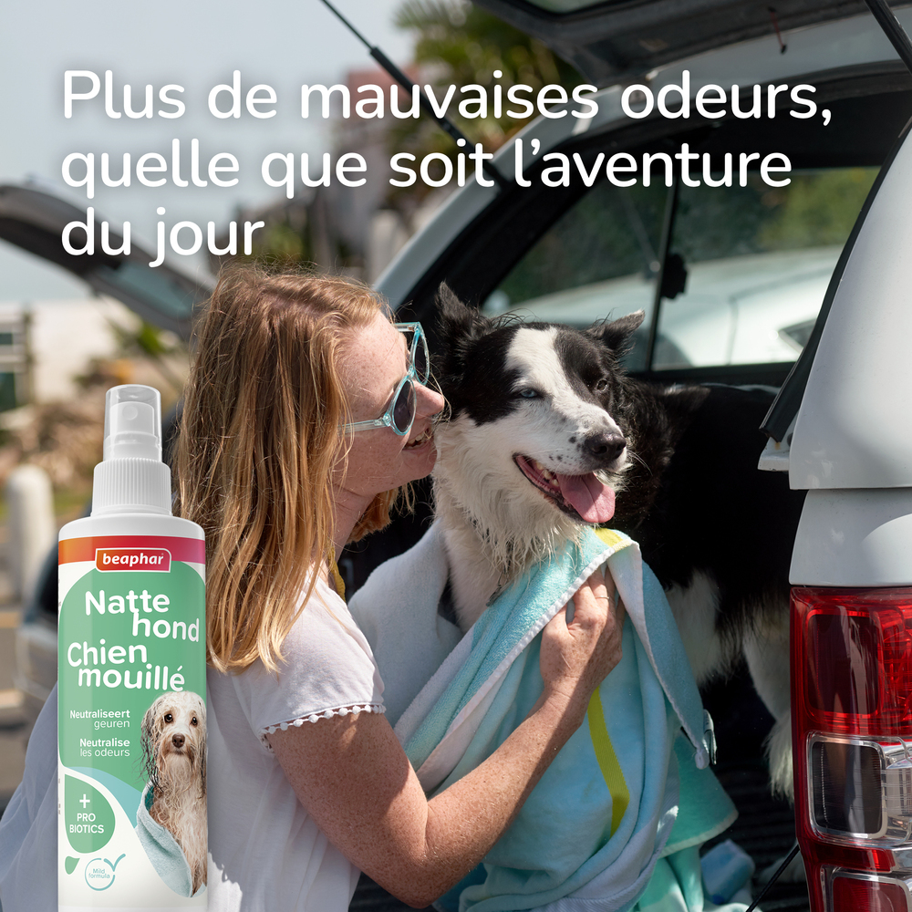 Spray Chien mouillé - 250 ml