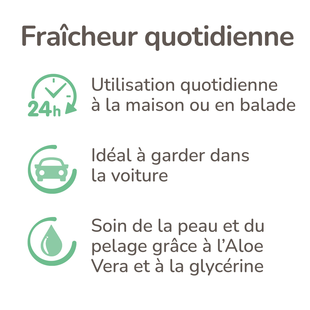 Spray Chien mouillé - 250 ml