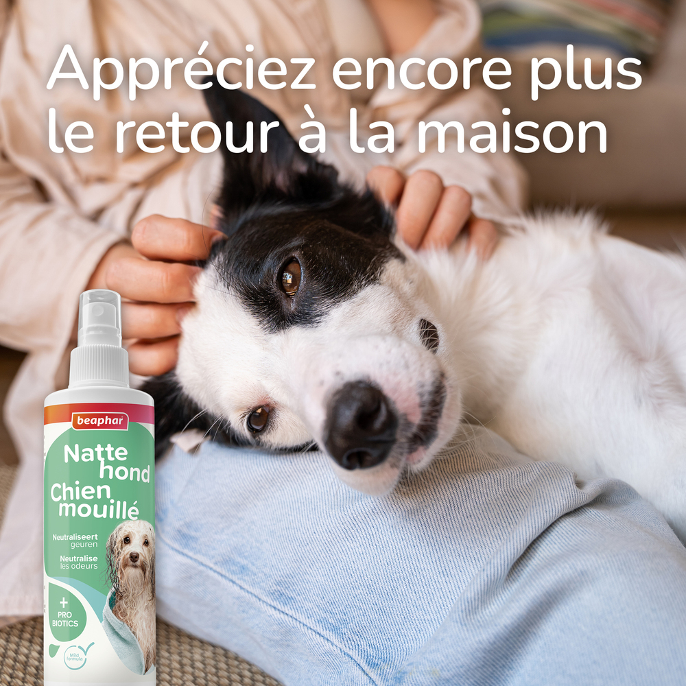 Spray Chien mouillé - 250 ml