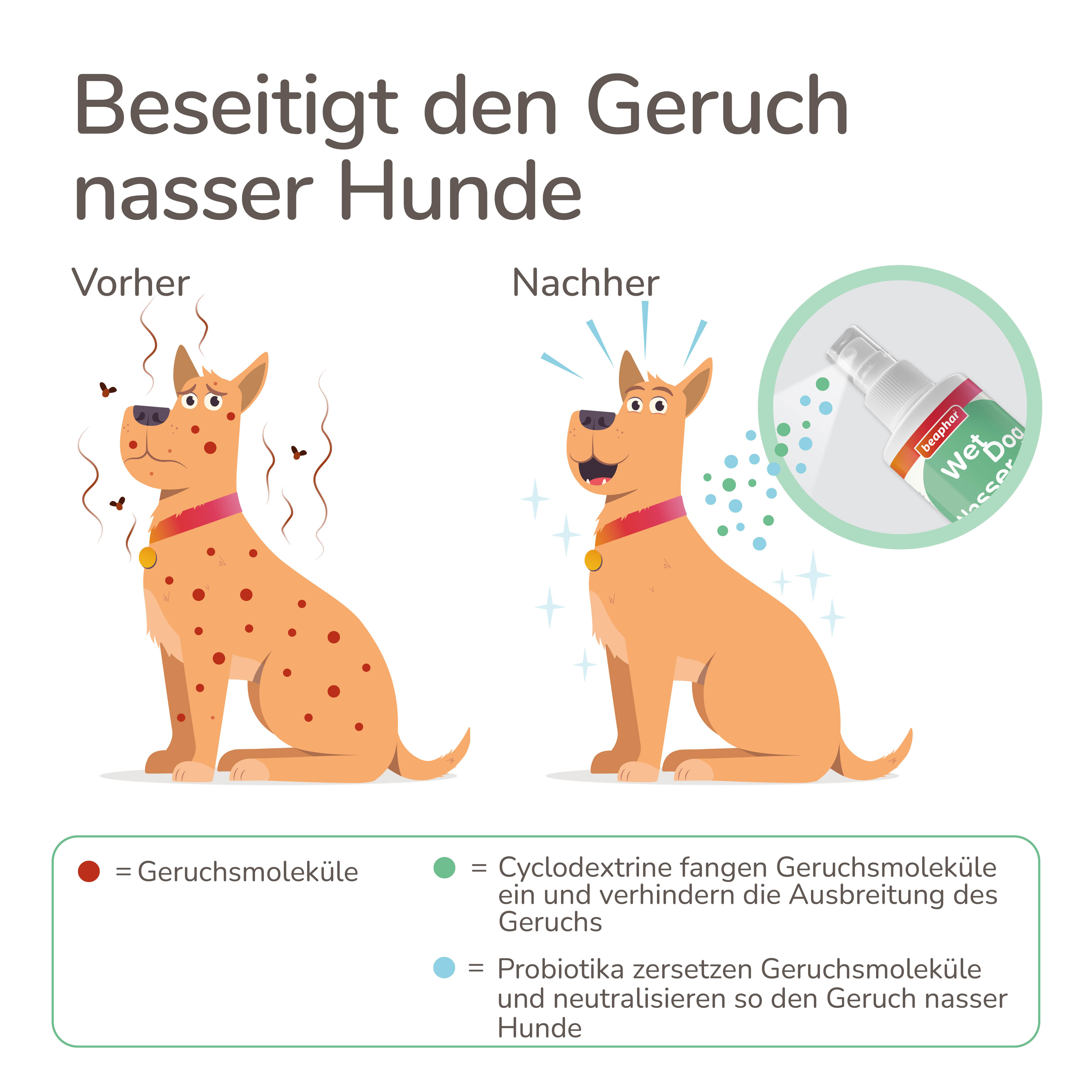 Nasser Hund Spray, 250ml