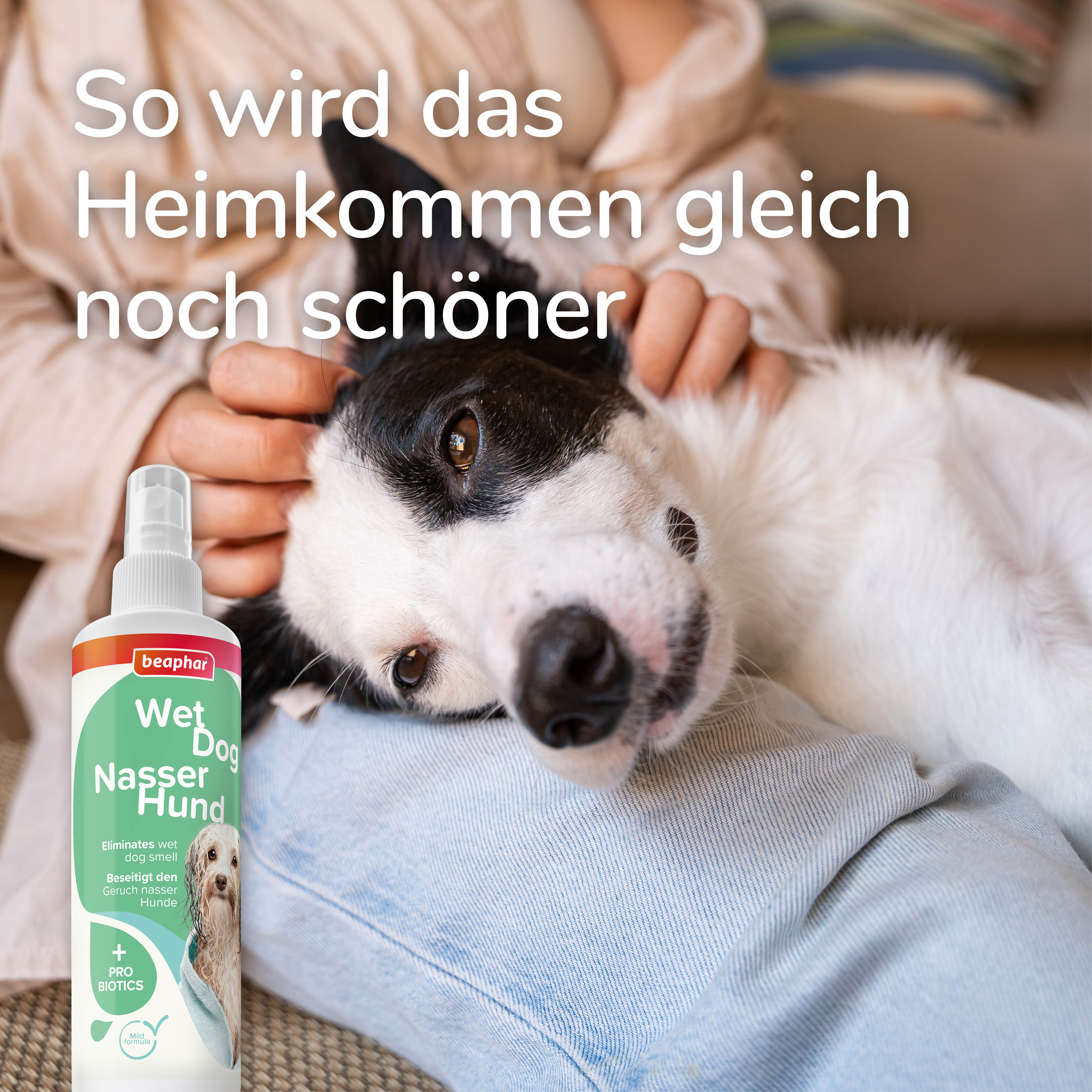 Nasser Hund Spray, 250ml