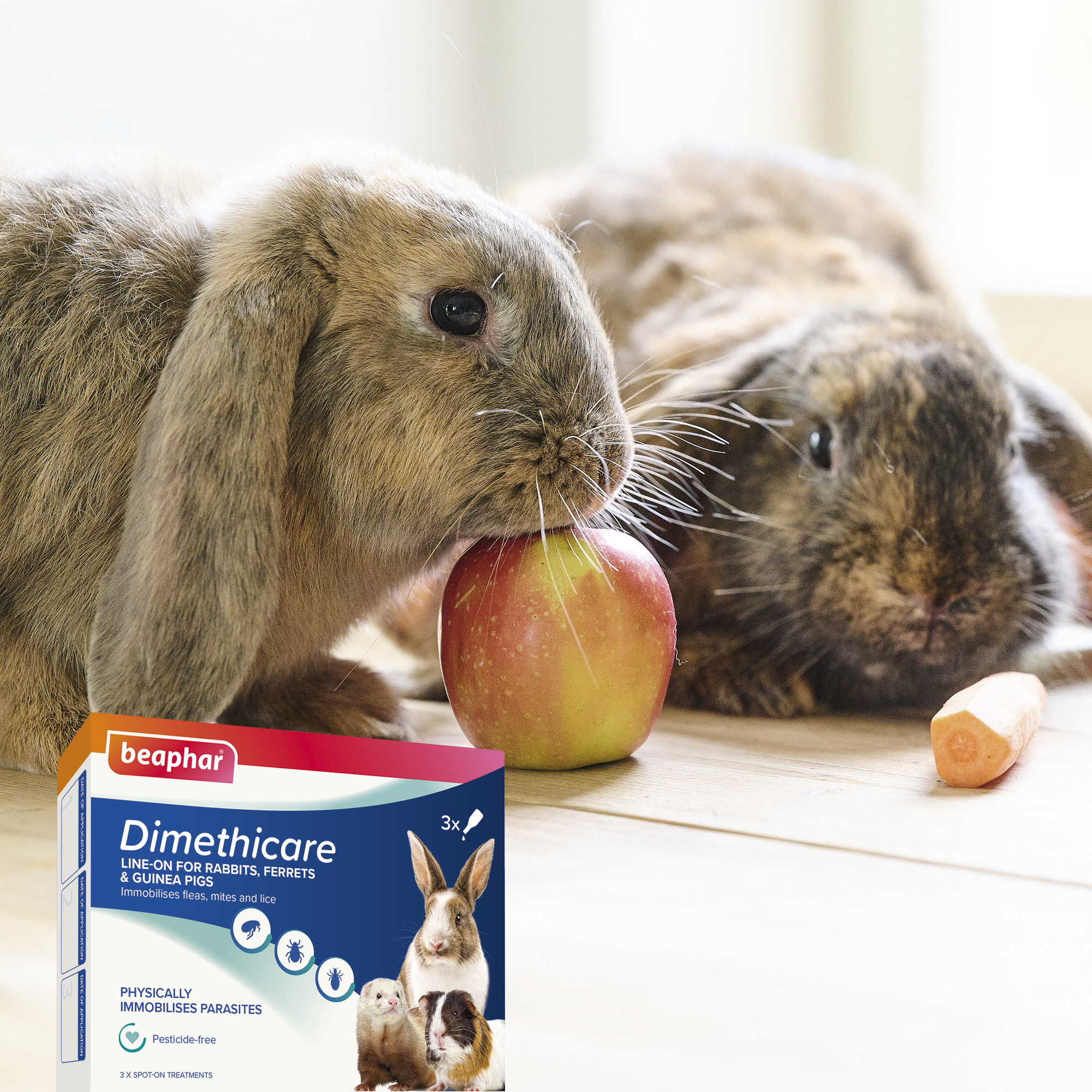 Beaphar Dimethicare Line-On Mite, Flea & Lice Control for Rabbits, Ferrets & Guinea Pigs, 3 pipettes