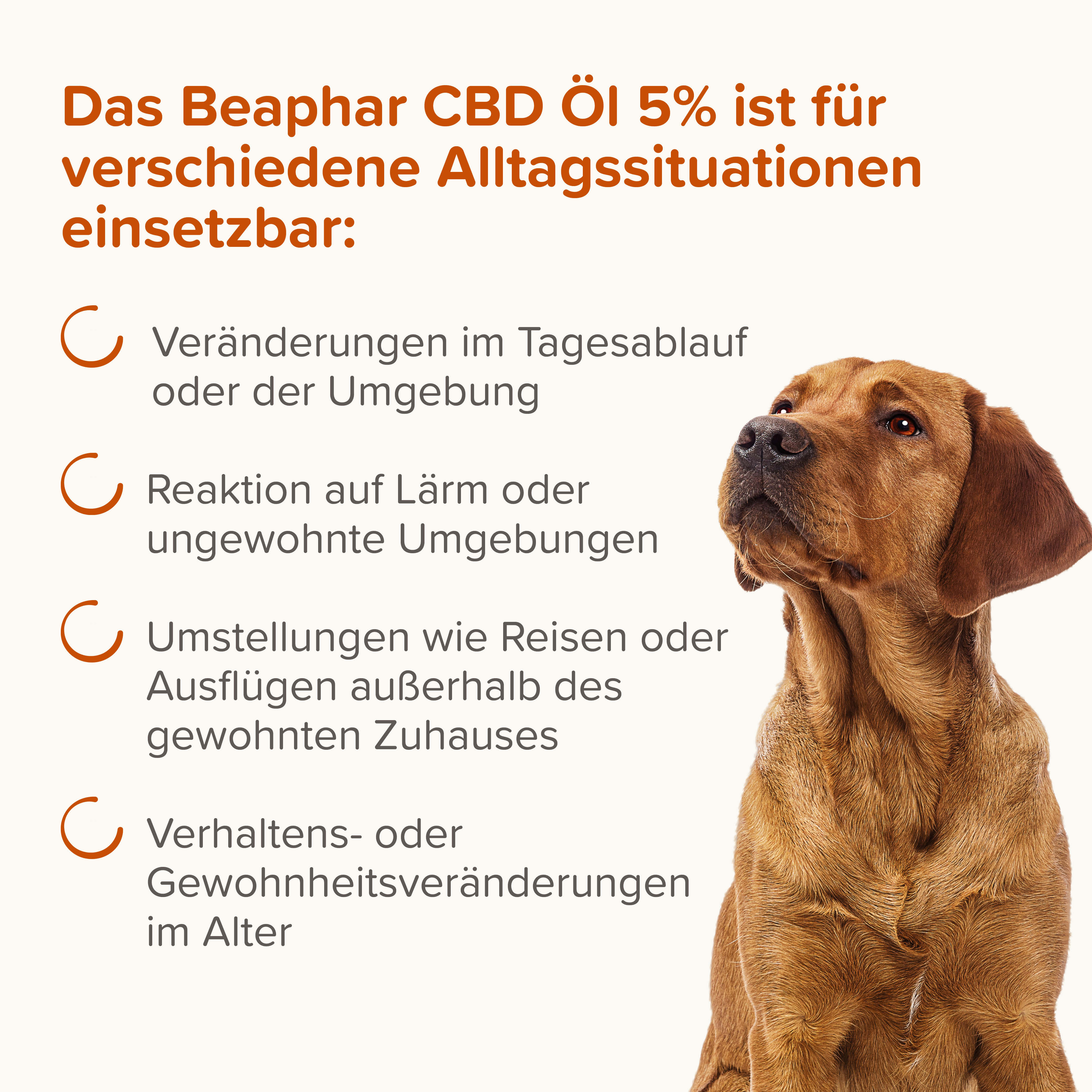 CBD Öl 5%, 10ml