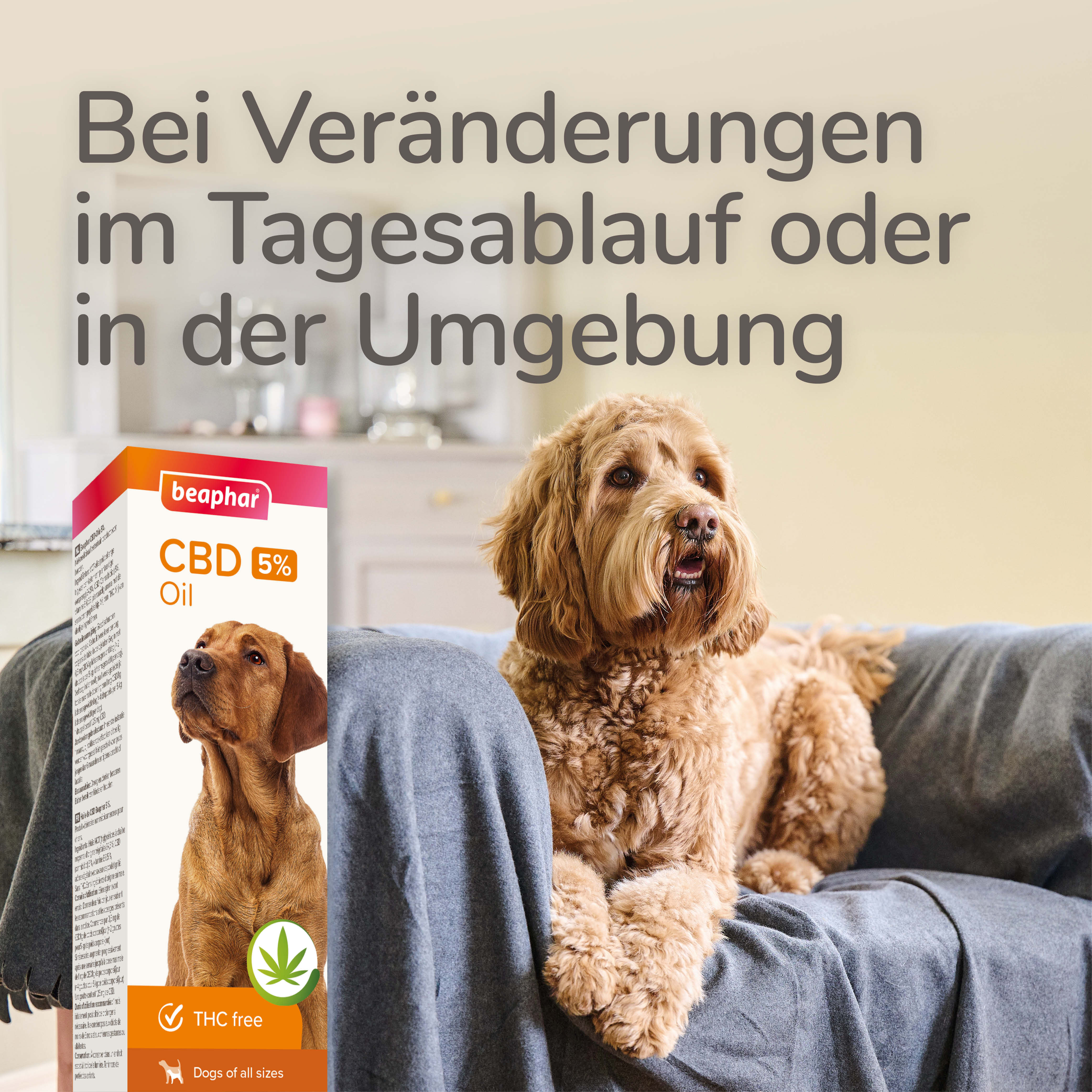 CBD Öl 5%, 10ml