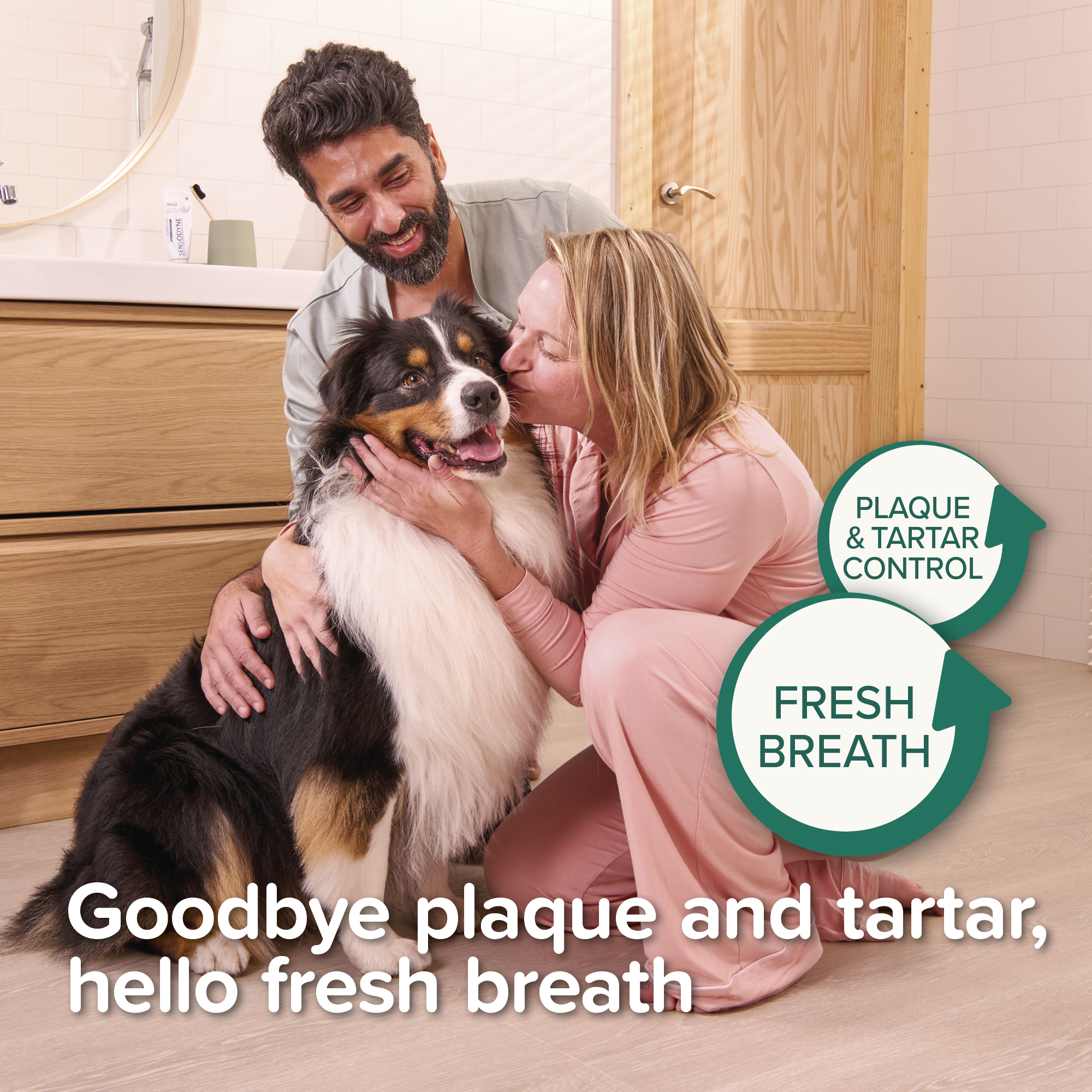 Beaphar Plaque Away Dental Powder for Cats & Dogs, 80g Tub