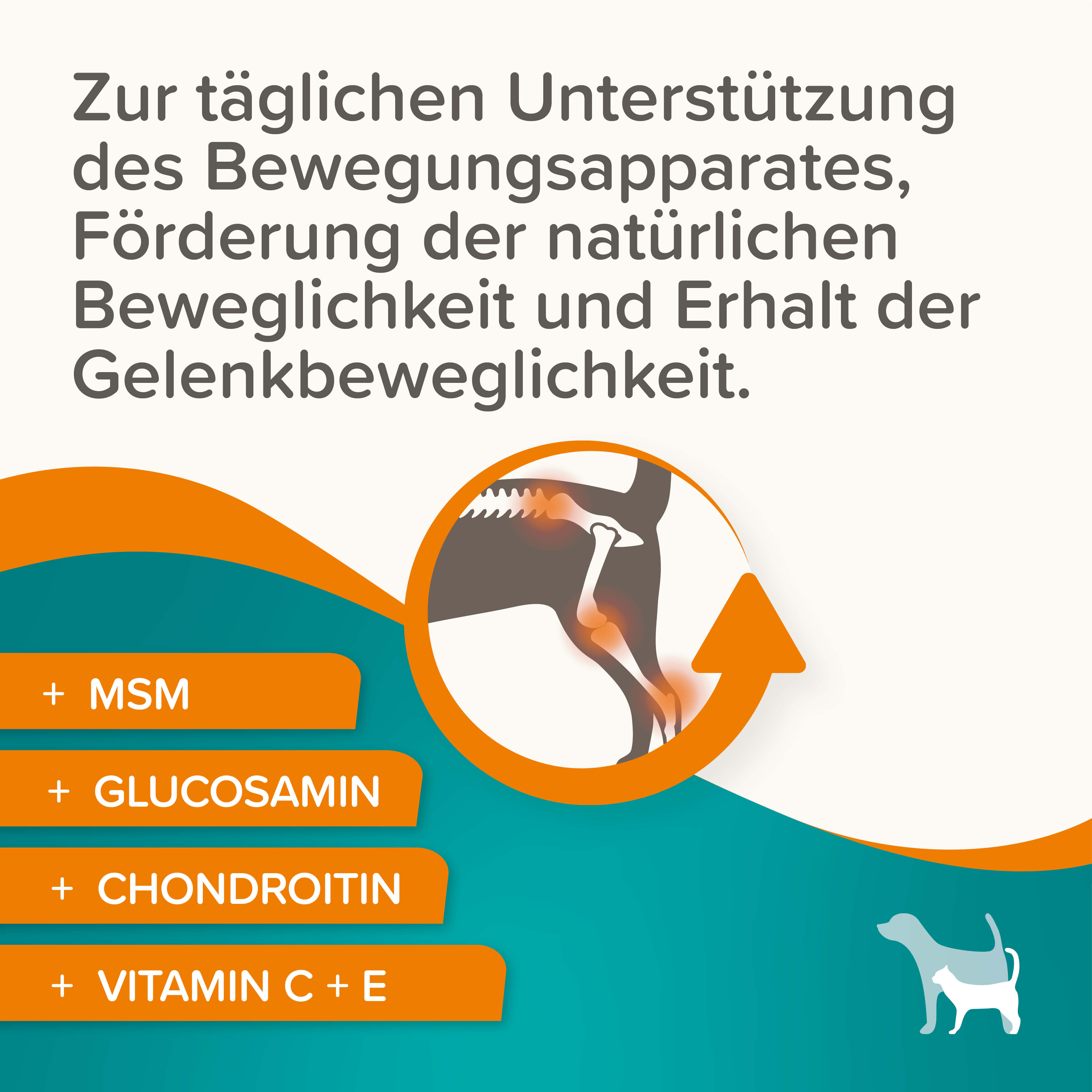 Flexifit® Glucosamin Tabletten, 120 Stk.