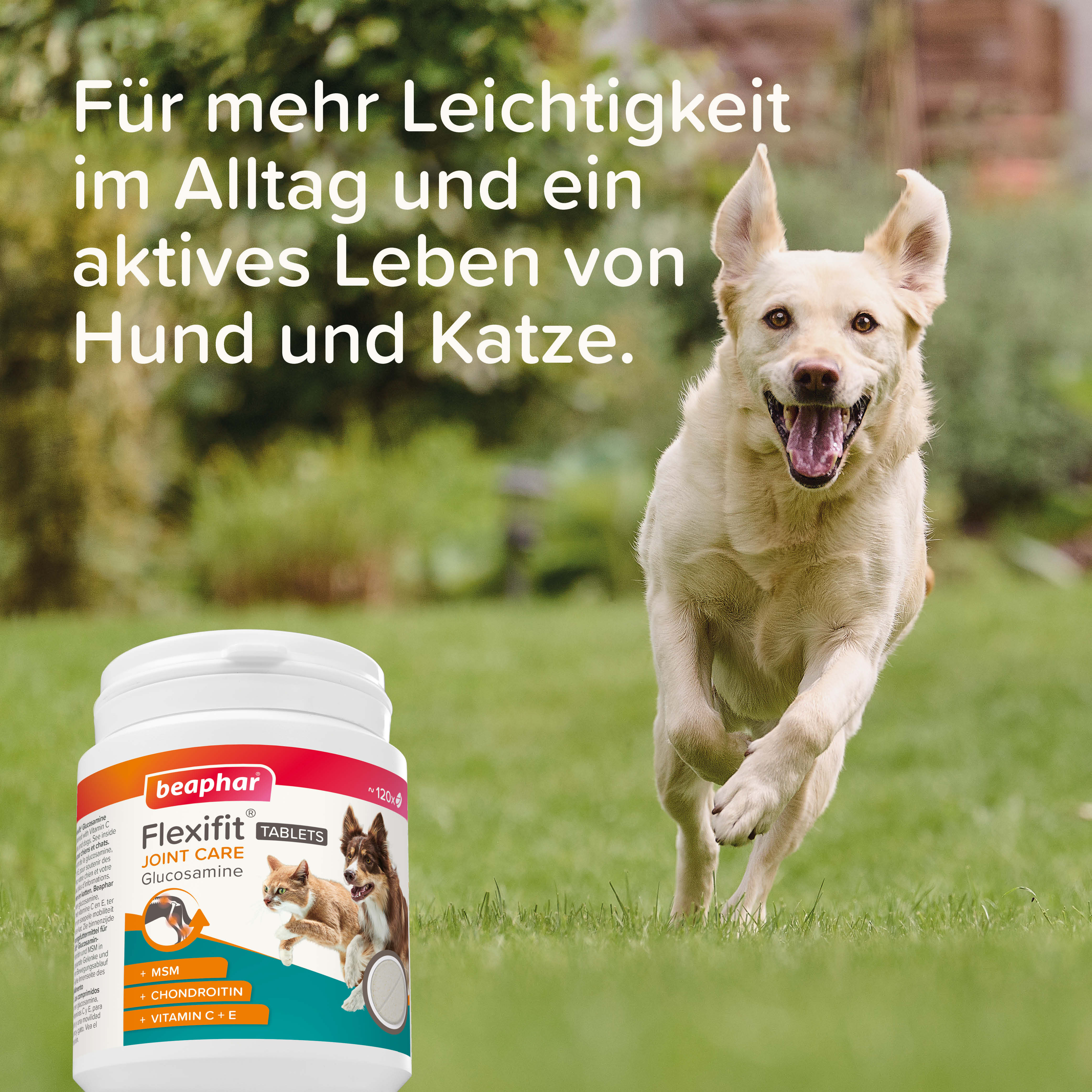Flexifit® Glucosamin Tabletten, 120 Stk.