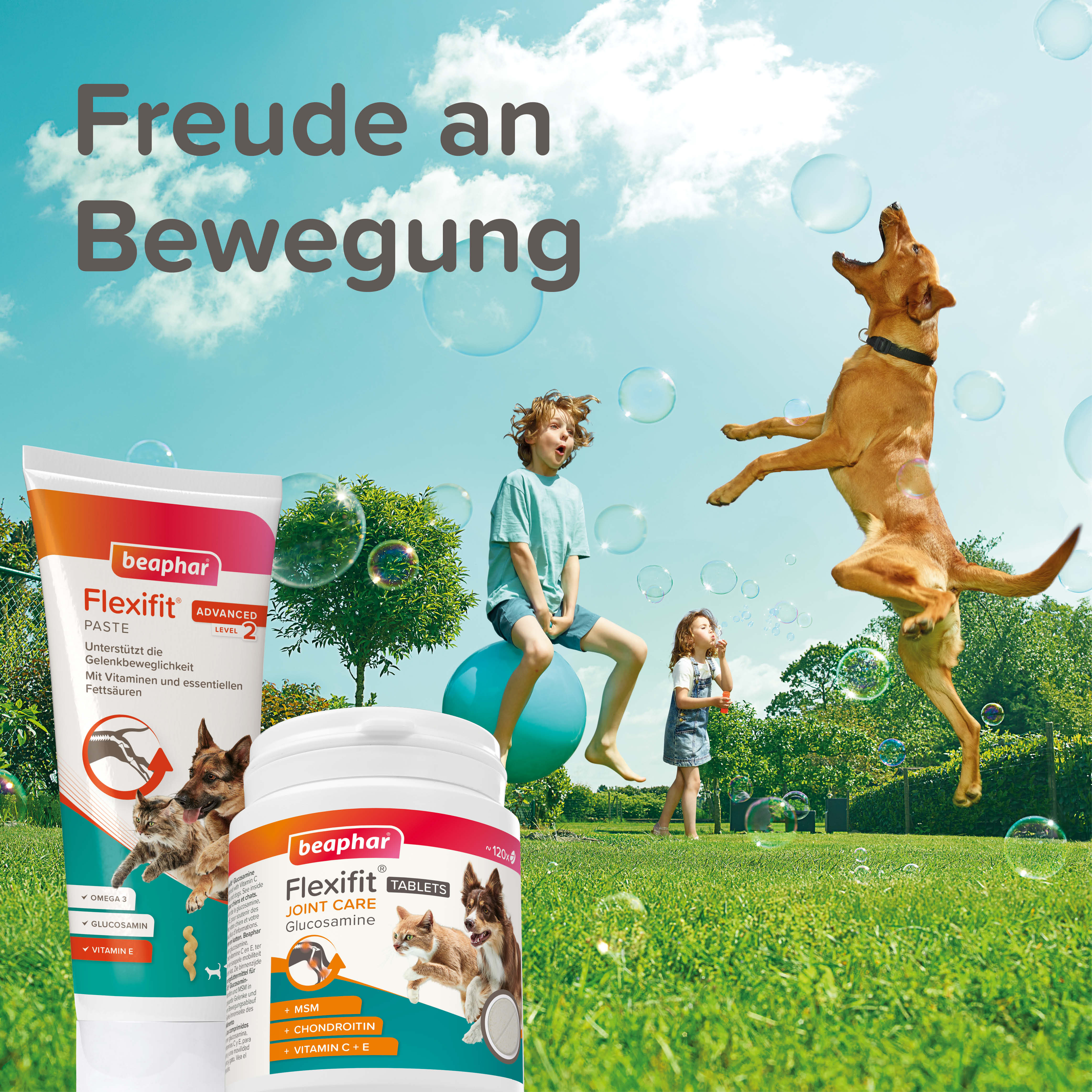 Flexifit® Glucosamin Tabletten, 120 Stk.