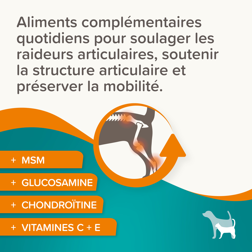 Beaphar Flexifit® Comprimés Articulations Glucosamine pour chien et chat - 120 cps