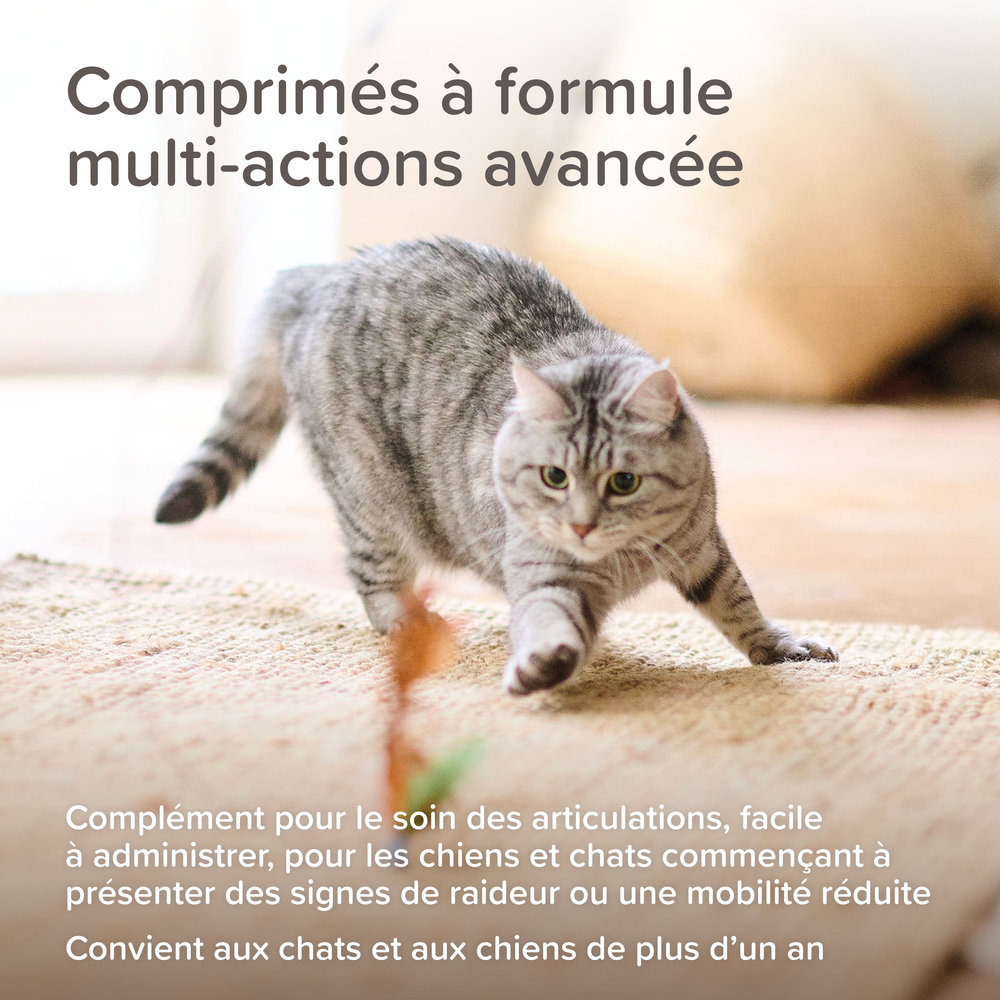 Beaphar Flexifit® Comprimés Articulations Glucosamine pour chien et chat - 120 cps