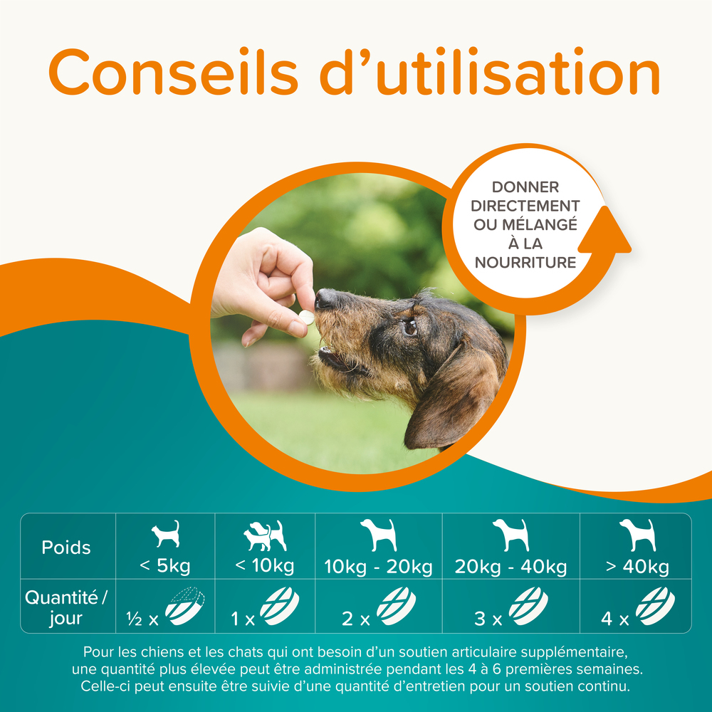 Beaphar Flexifit® Comprimés Articulations Glucosamine pour chien et chat - 120 cps