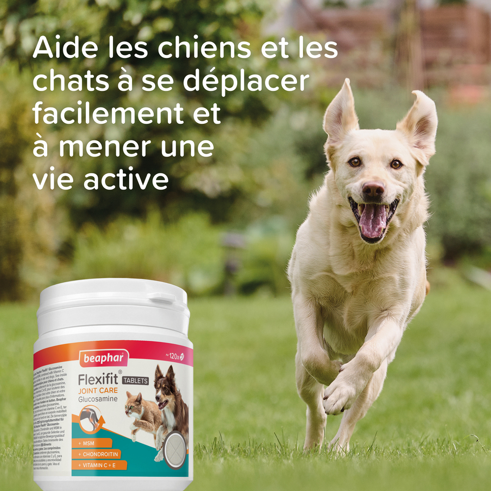 Beaphar Flexifit® Comprimés Articulations Glucosamine pour chien et chat - 120 cps