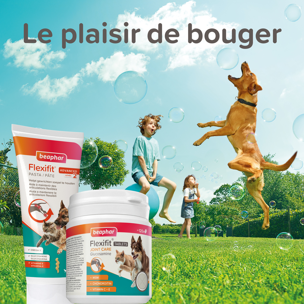 Beaphar Flexifit® Comprimés Articulations Glucosamine pour chien et chat - 120 cps