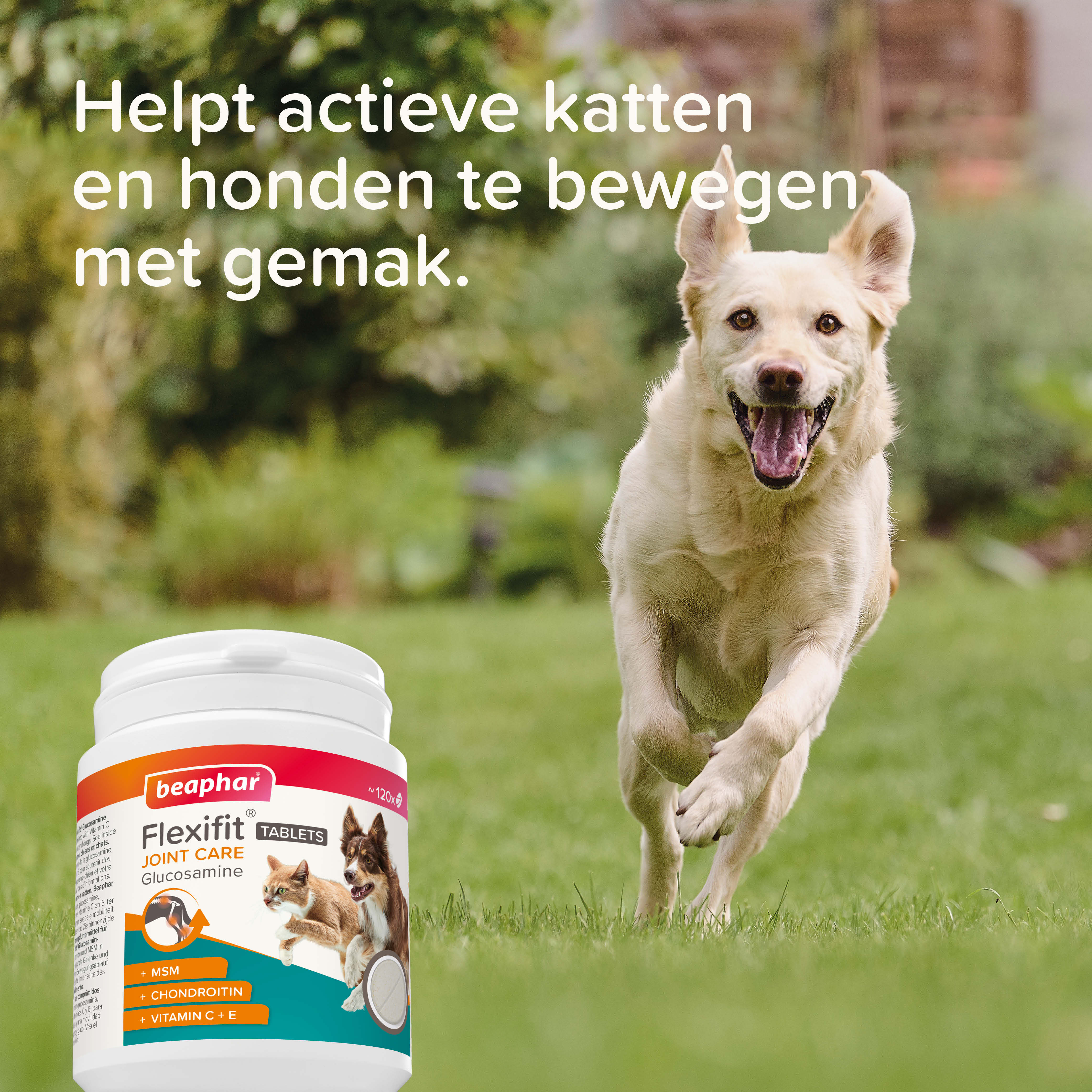 Beaphar Flexifit Glucosamine Tabletten 120 tabl