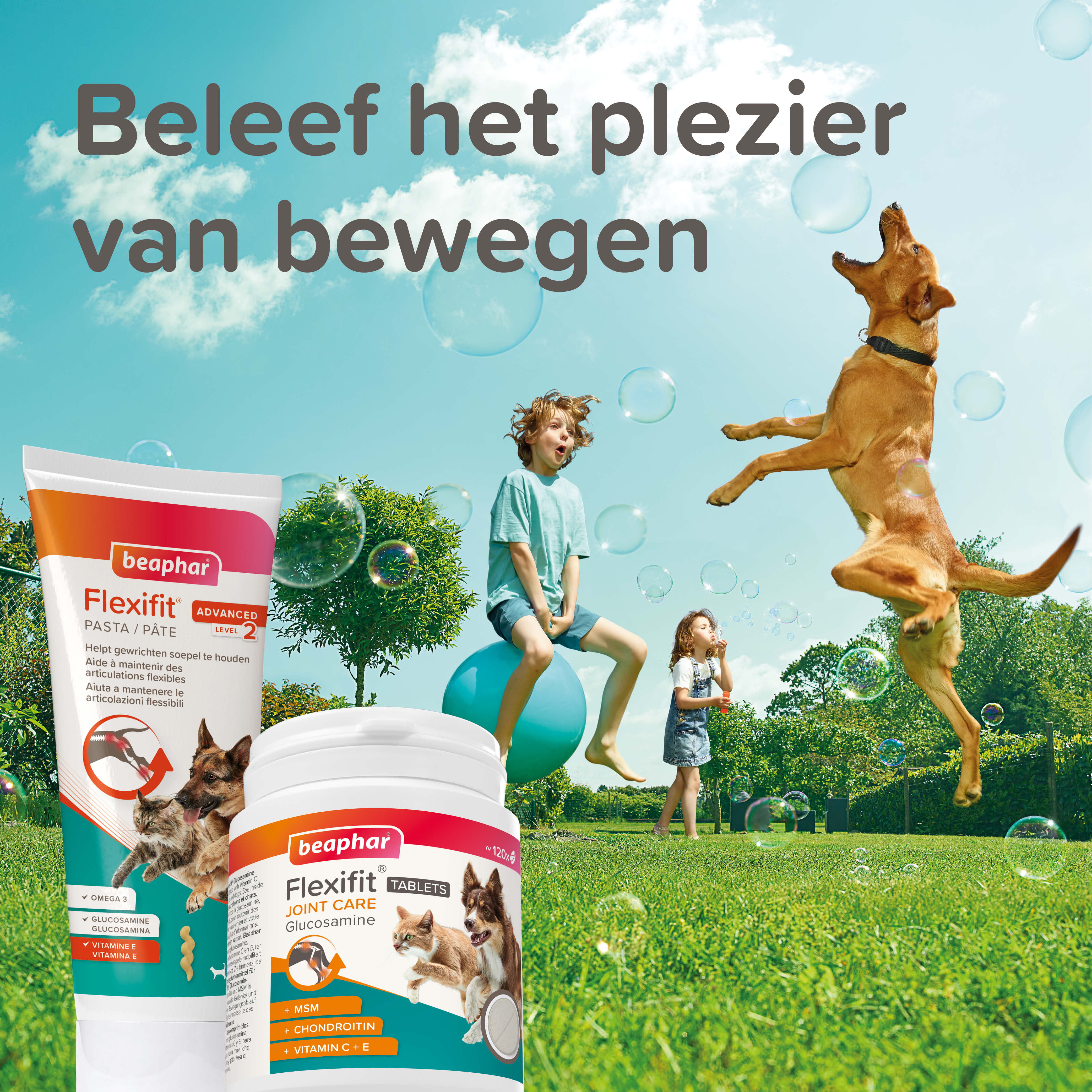 Beaphar Flexifit Glucosamine Tabletten 120 tabl