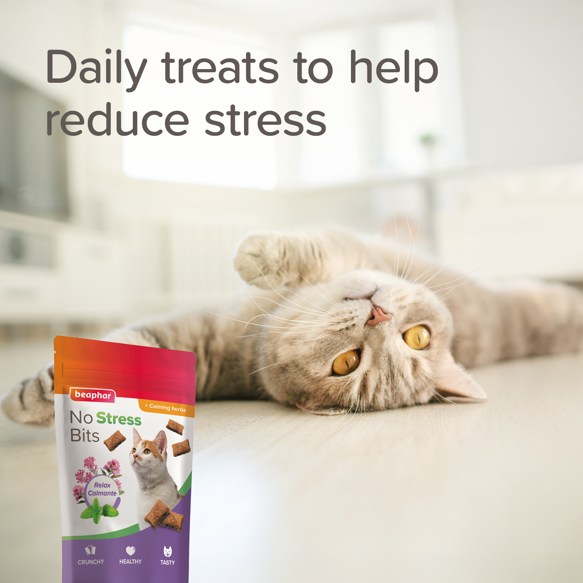 Beaphar No Stress Bits Cat 60g