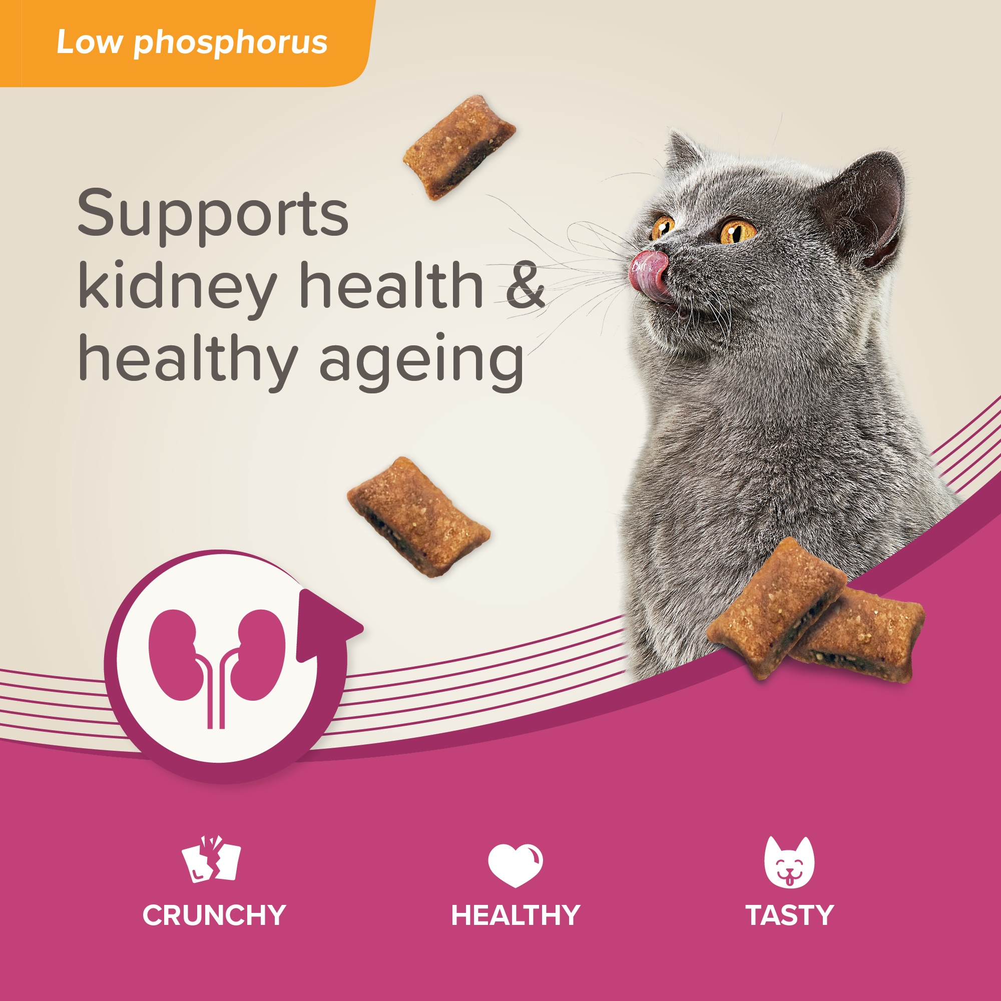 Beaphar Kidney Bits Cat 60g