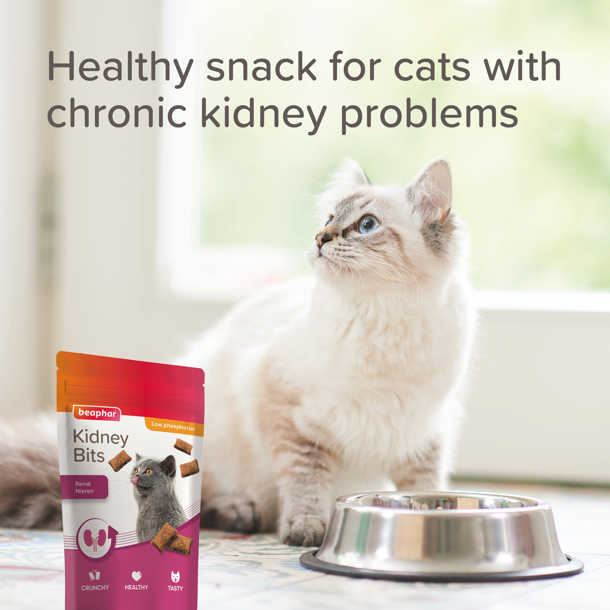 Beaphar Kidney Bits Cat 60g