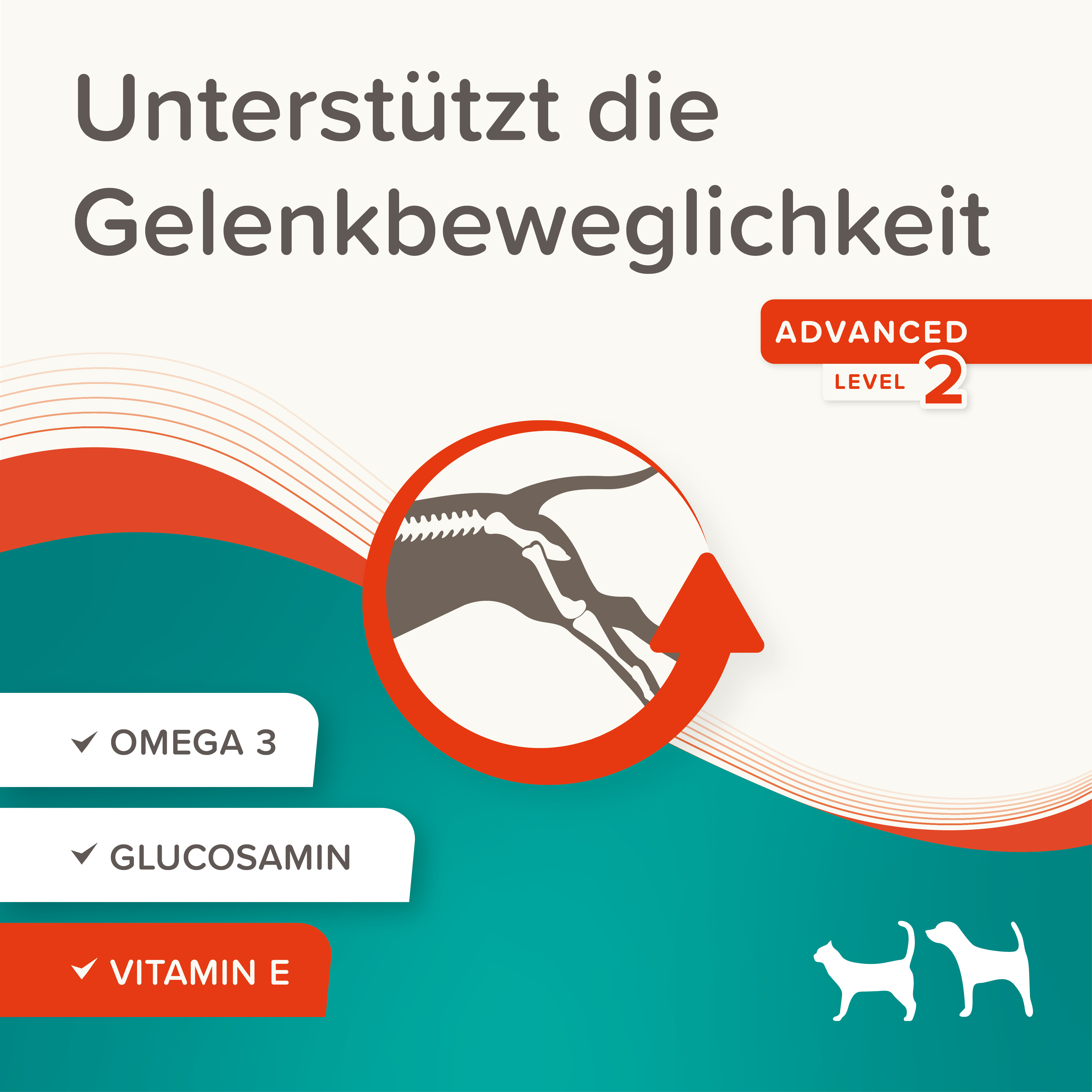 Flexifit® Paste, 250g