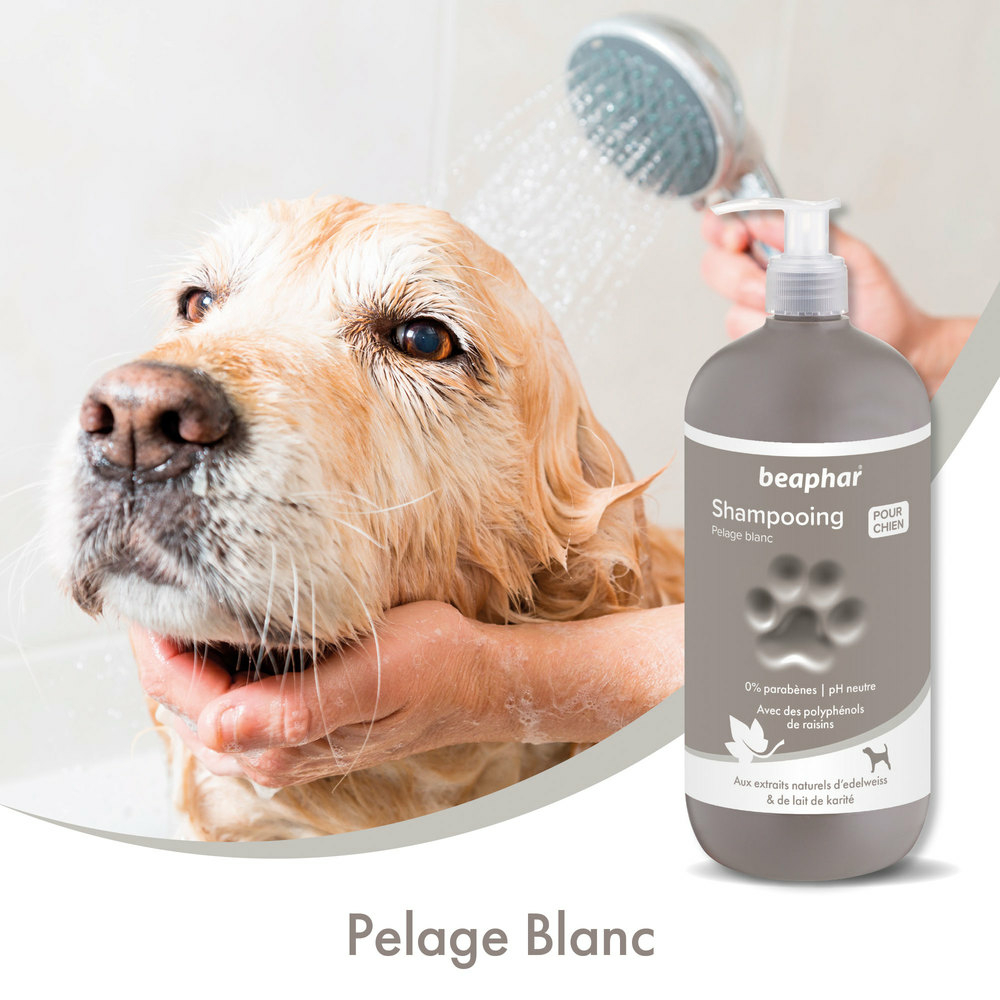 Shampooing premium Empreinte - Pour pelage blanc extraits naturels d’edelweiss & de lait de karité - 750 ml