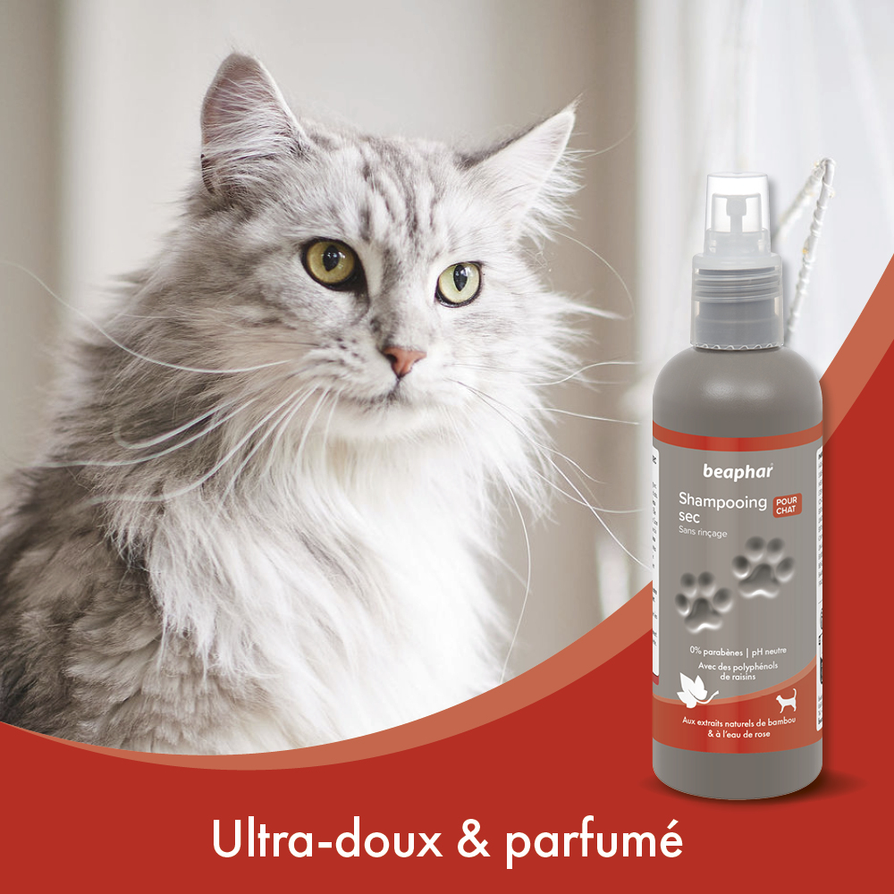 Shampooing Sec premium Empreinte - Aux extraits naturels de bambou & à l'eau de rose - 200 ml