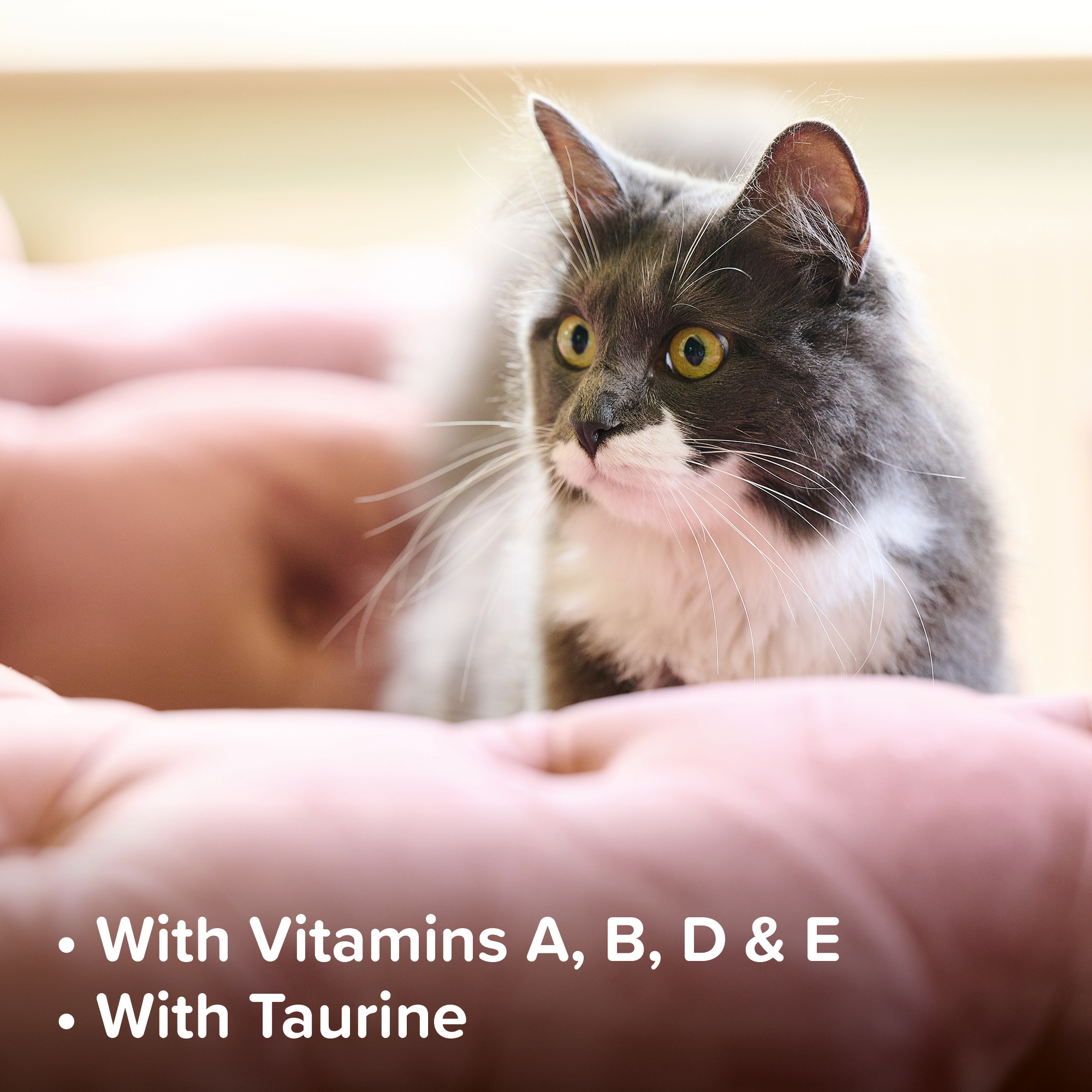 Beaphar Top 10 Multi-Vitamin Tablets for Cats, 180 Tablet Pack