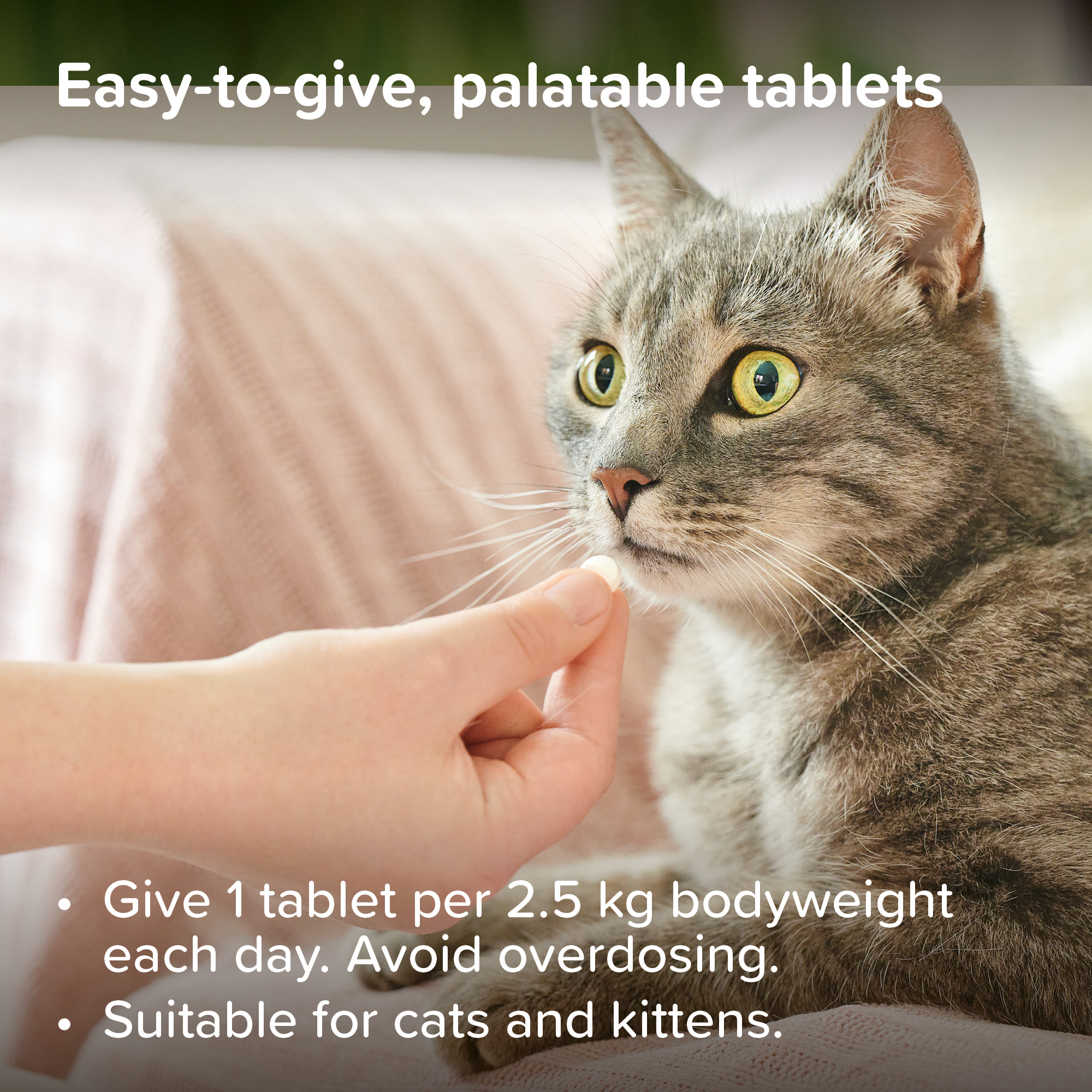 Beaphar Top 10 Multi-Vitamin Tablets for Cats, 180 Tablet Pack