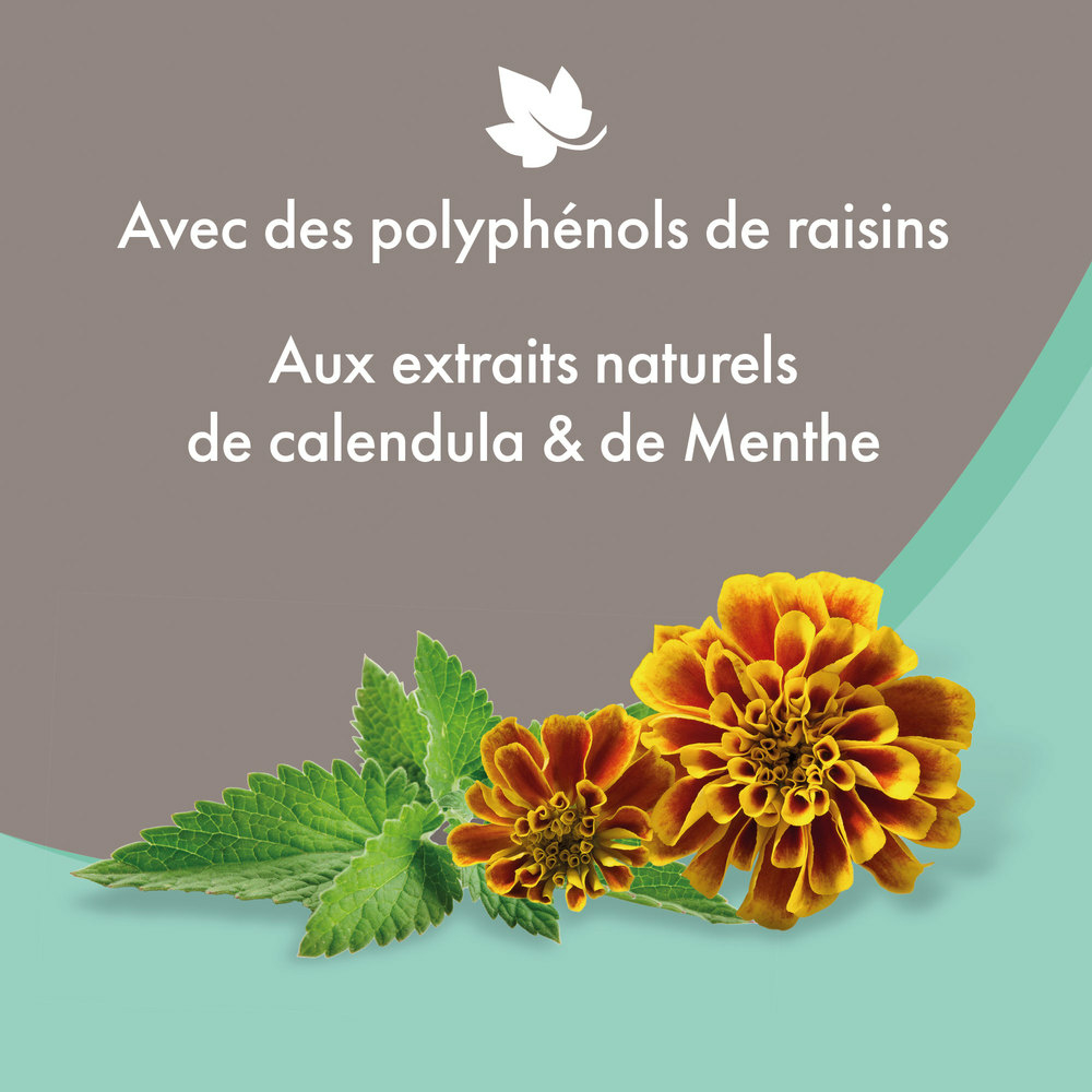 Shampooing premium Empreinte - Anti-Démangeaisons extraits naturels de calendula & de menthe - 750 ml