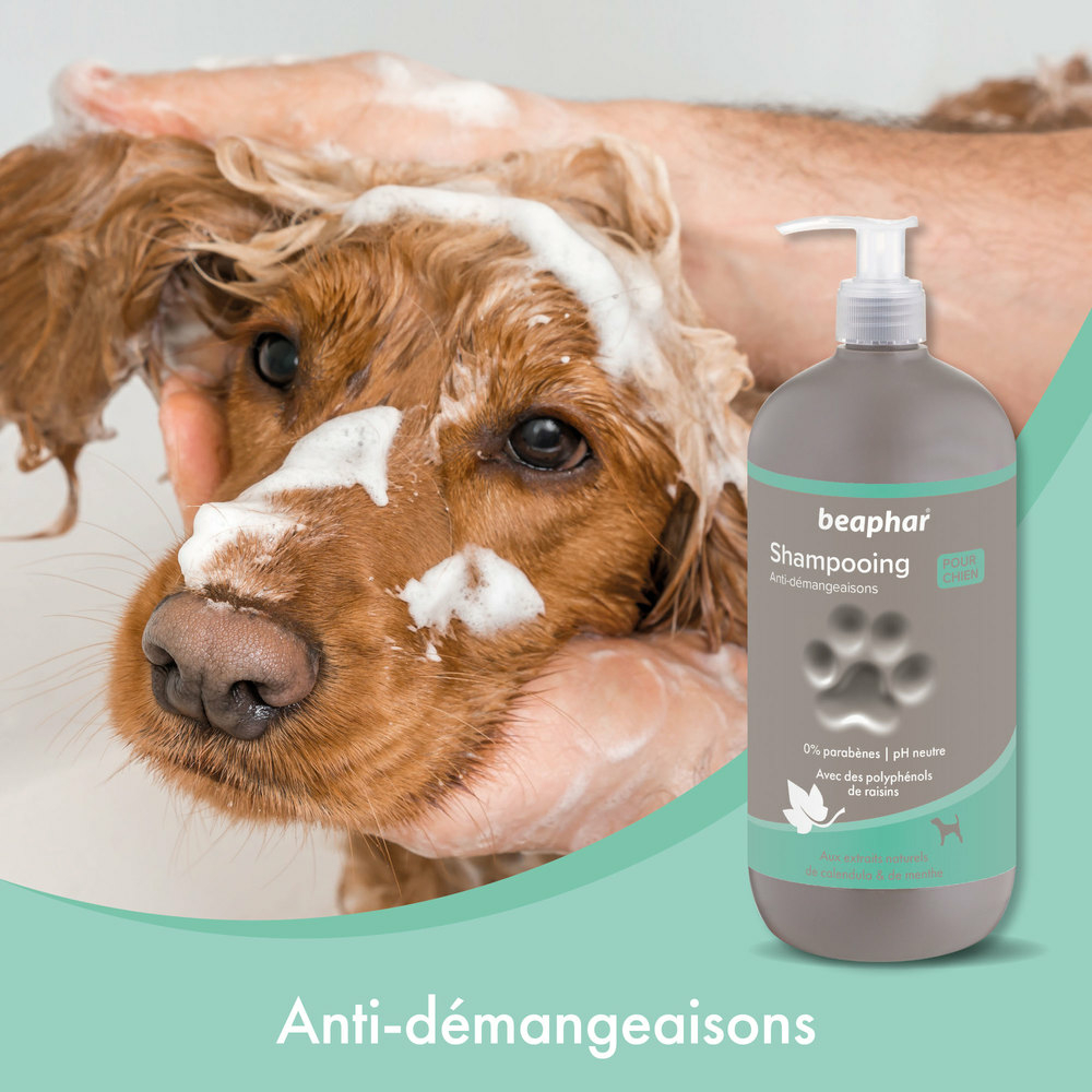Shampooing premium Empreinte - Anti-Démangeaisons extraits naturels de calendula & de menthe - 750 ml