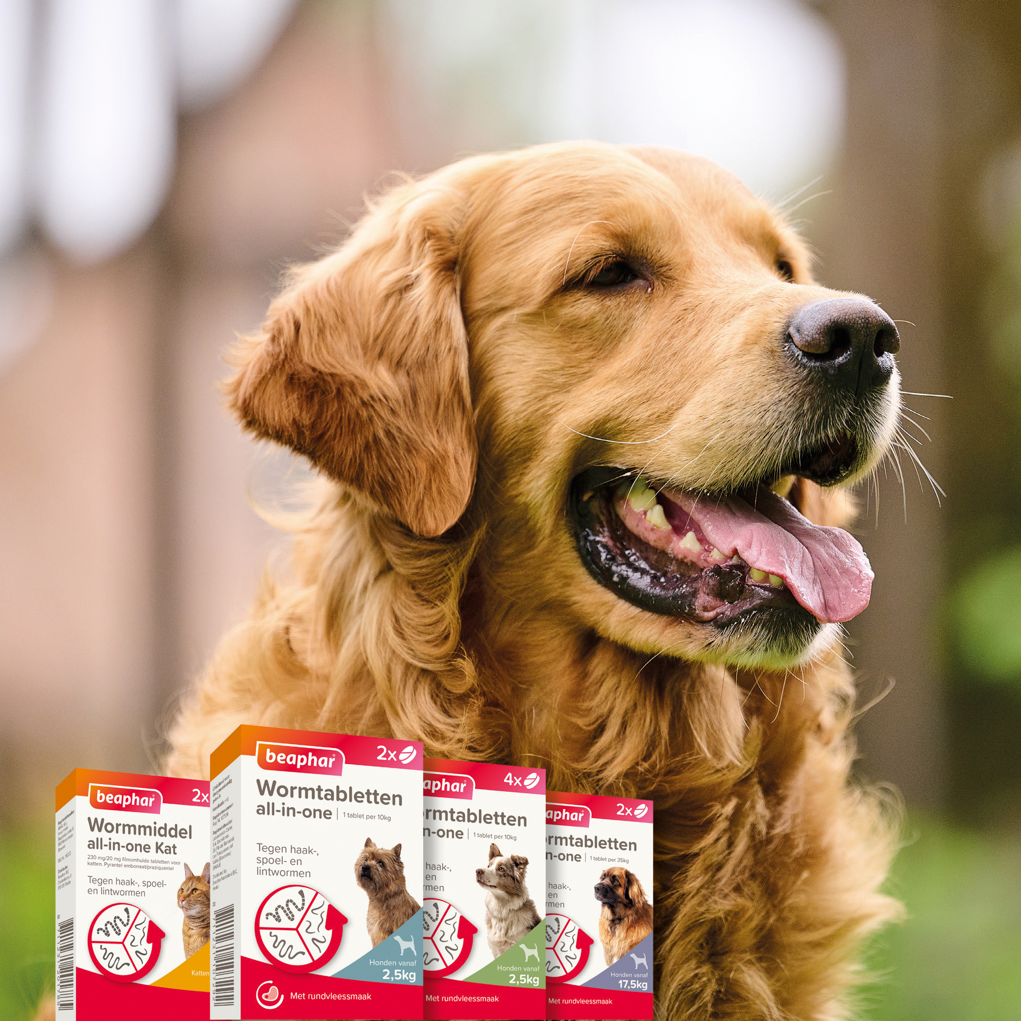 Beaphar Wormtabletten All-in-One hond 2,5-40kg 4 tabletten