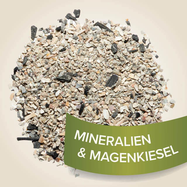 Vogel Grit, 250g