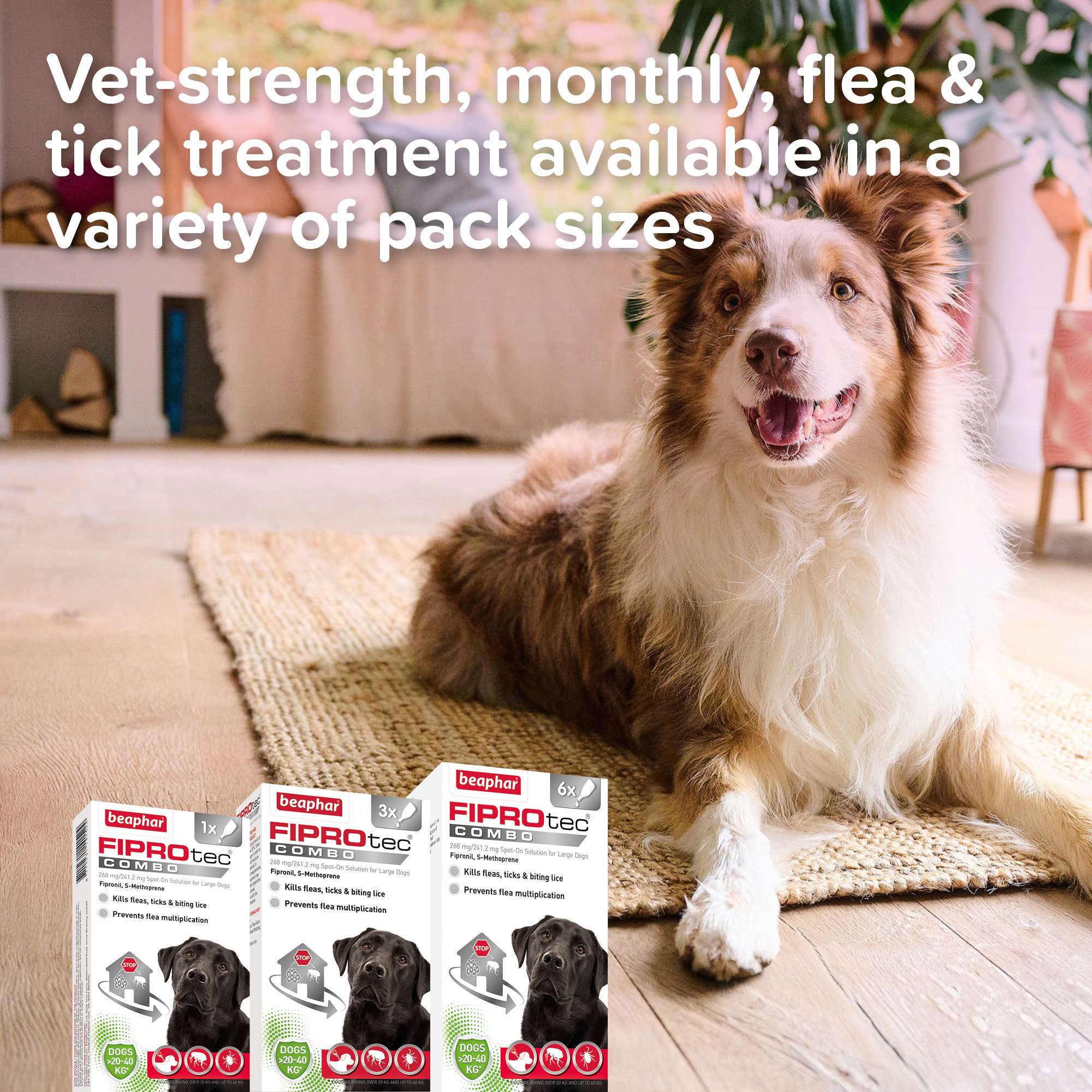 Beaphar FIPROtec® COMBO Flea & Tick Spot-On for Large Dogs (20-40kg), 6 Pipettes