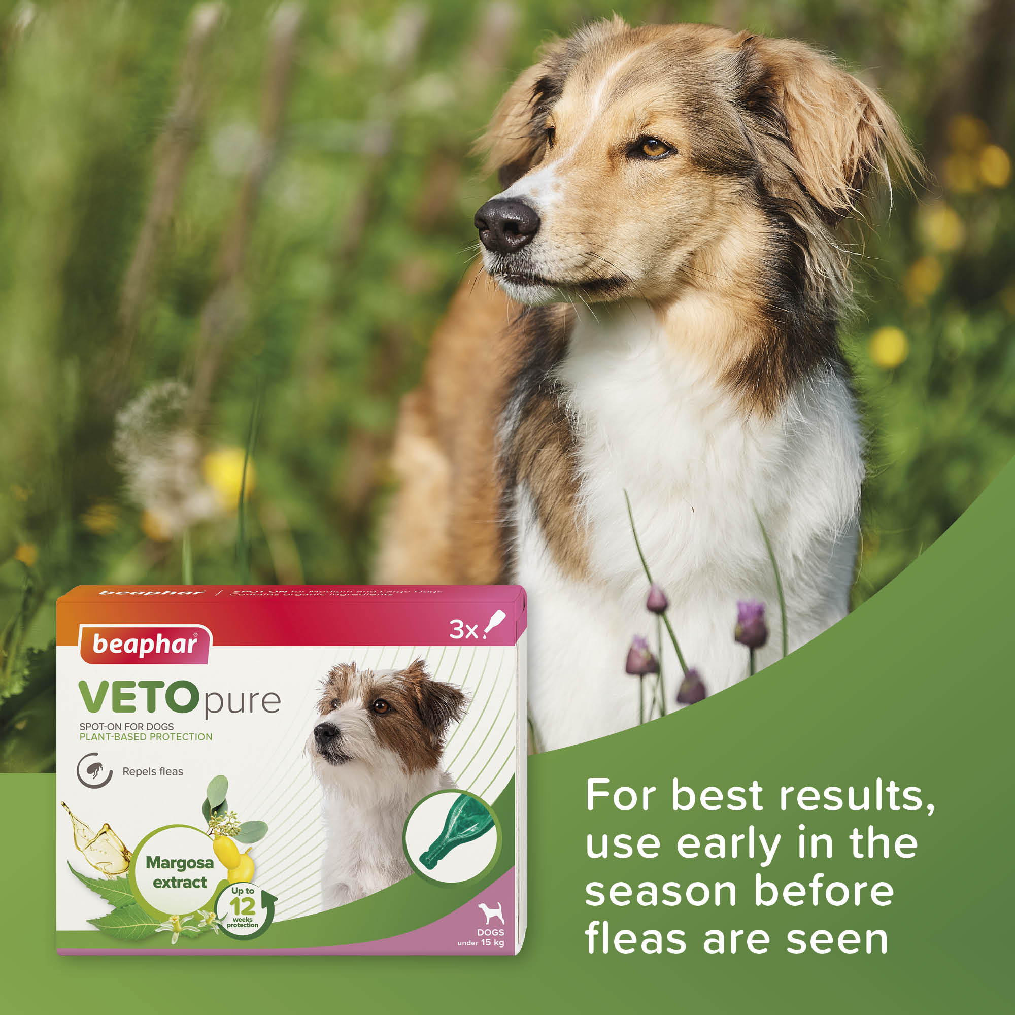 Beaphar VETOpure Plant-Based Flea Repellent Spot-On for Dogs (under 15kg), 3 Pipettes