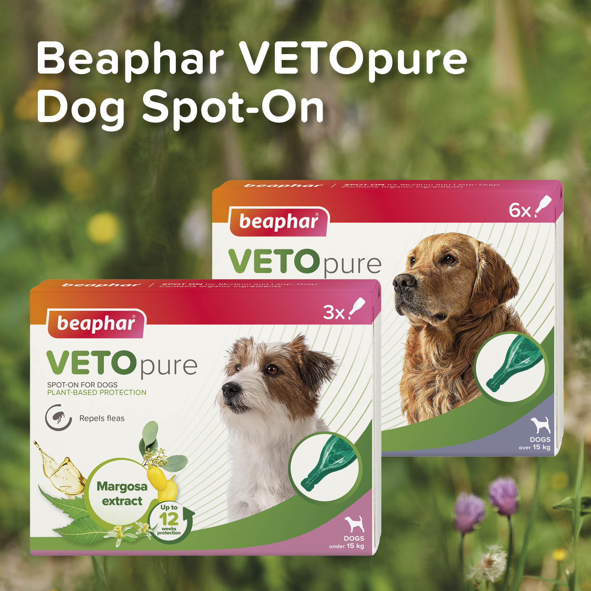 Beaphar VETOpure Plant-Based Flea Repellent Spot-On for Dogs (over 15kg), 6 Pipettes