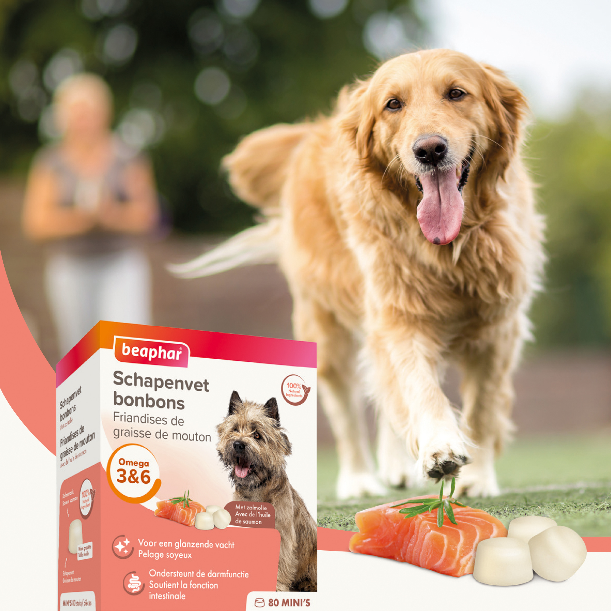 Schapenvet Bonbons Zalm Mini's 245g