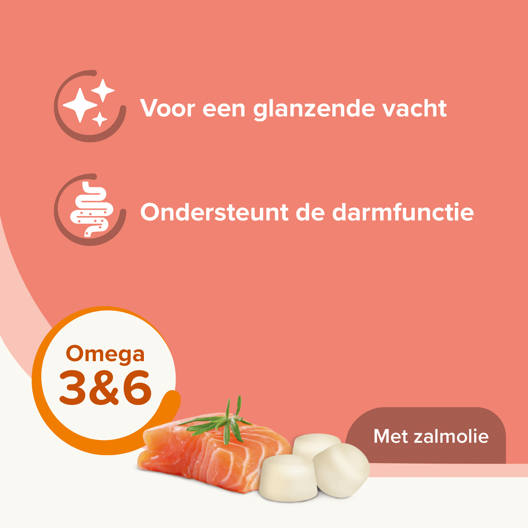 Schapenvet Bonbons Zalm Mini's 245g
