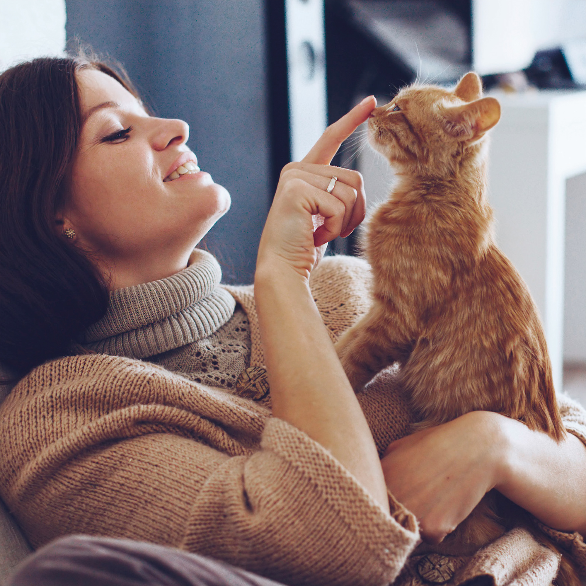 StressLess nyugtató hatású jutalomfalatok macskáknak