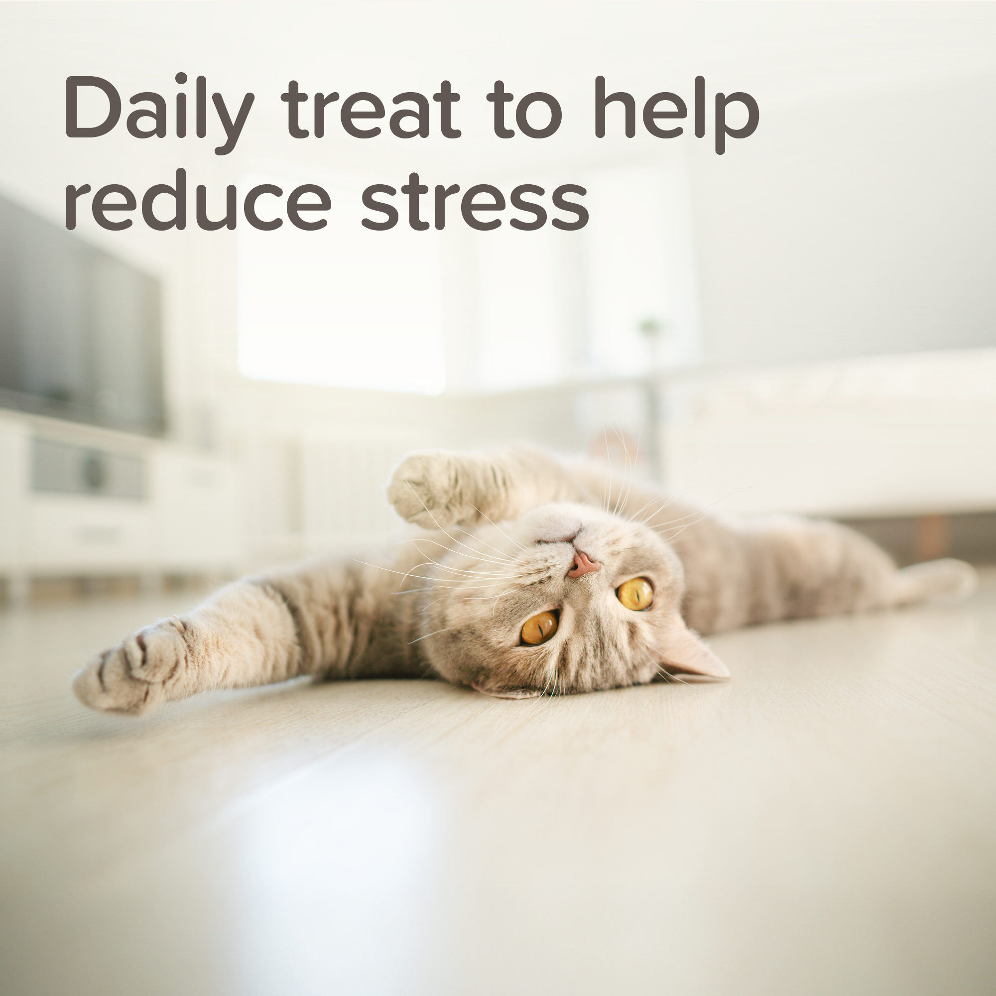 StressLess nyugtató hatású jutalomfalatok macskáknak